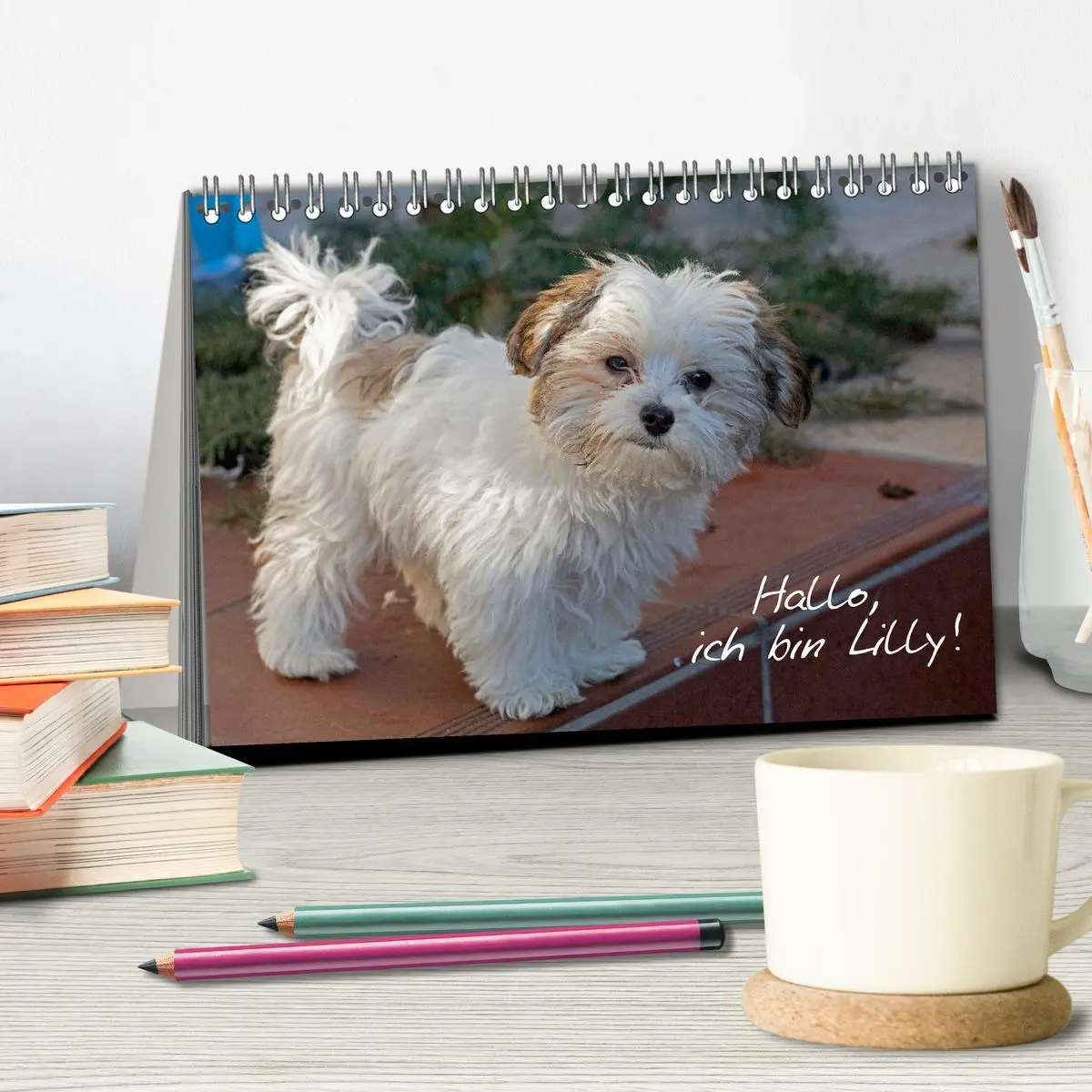 Bild: 9783457600863 | Hallo, ich bin Lilly (Tischkalender 2026 DIN A5 quer), CALVENDO...