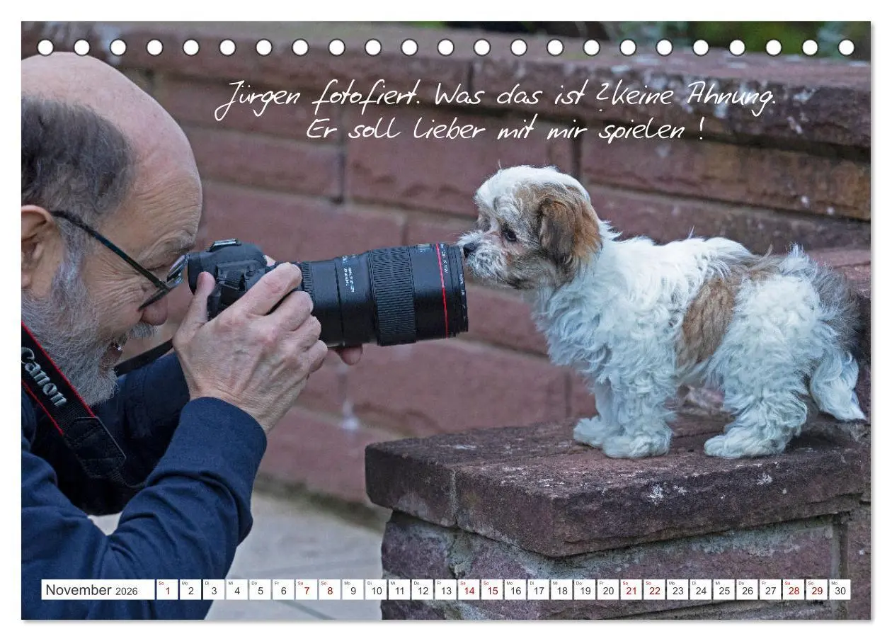 Bild: 9783457600863 | Hallo, ich bin Lilly (Tischkalender 2026 DIN A5 quer), CALVENDO...
