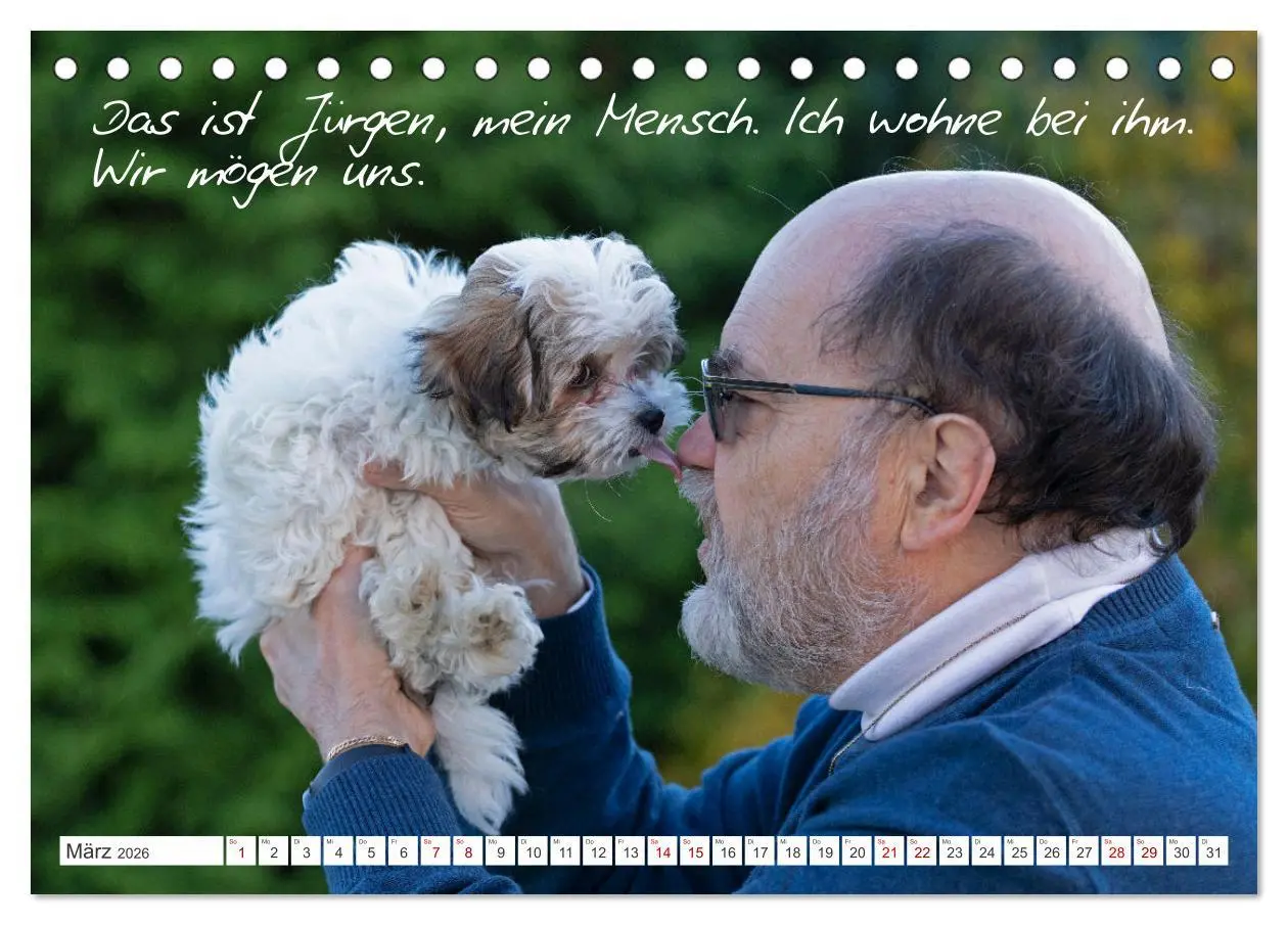 Bild: 9783457600863 | Hallo, ich bin Lilly (Tischkalender 2026 DIN A5 quer), CALVENDO...
