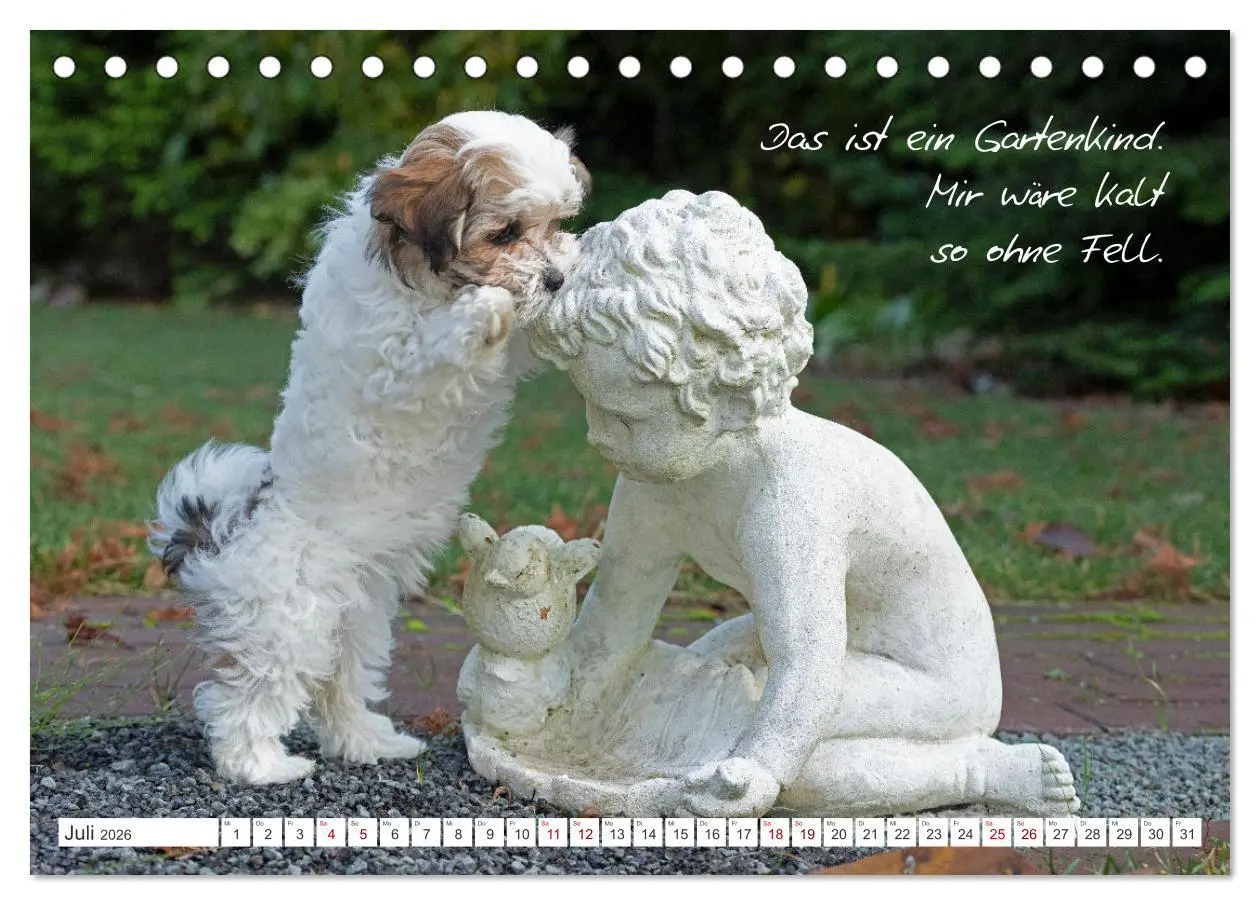 Bild: 9783457600863 | Hallo, ich bin Lilly (Tischkalender 2026 DIN A5 quer), CALVENDO...