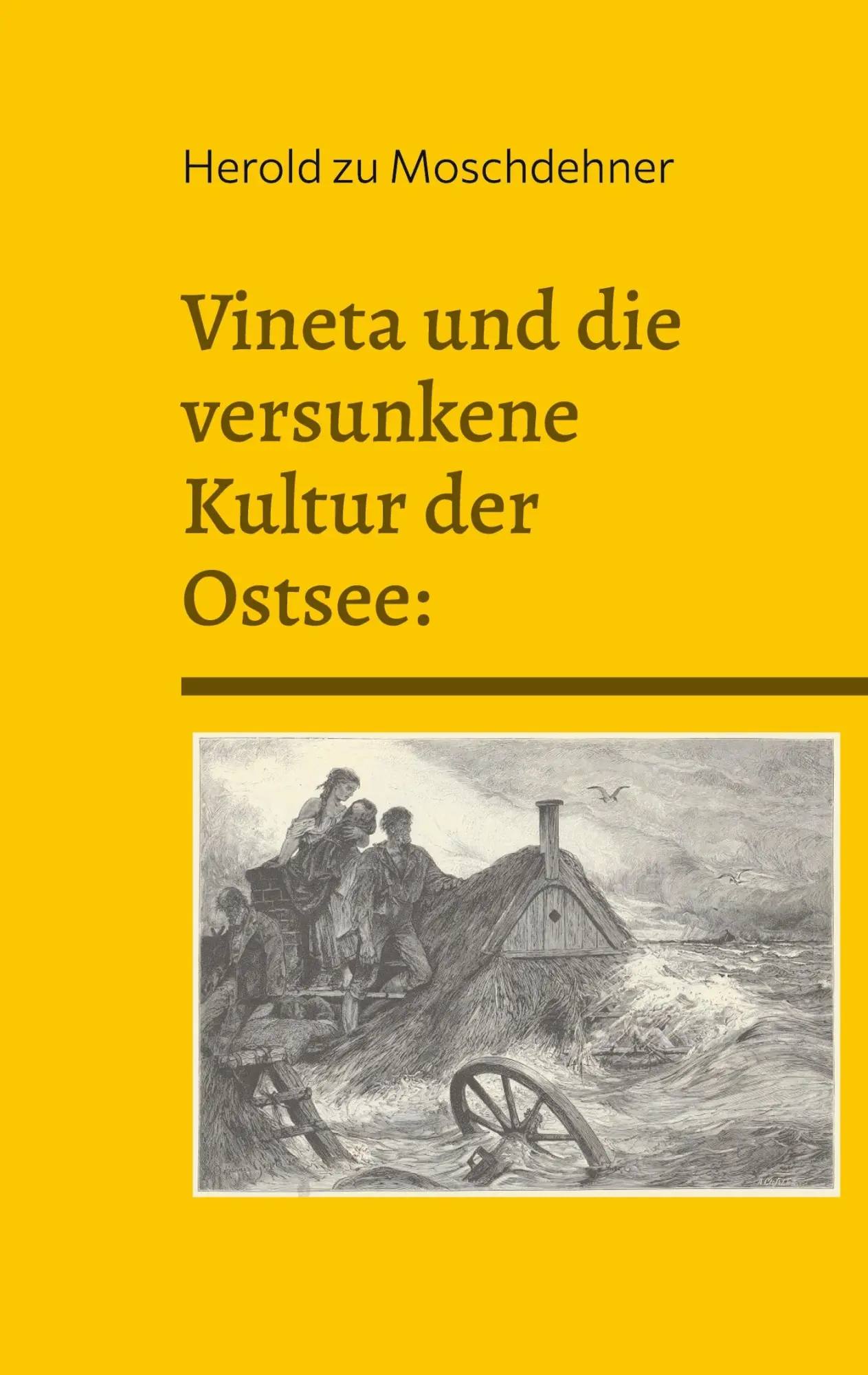 Cover: 9783769310863 | Vineta und die versunkene Kultur der Ostsee: | Im Fokus der Forschung