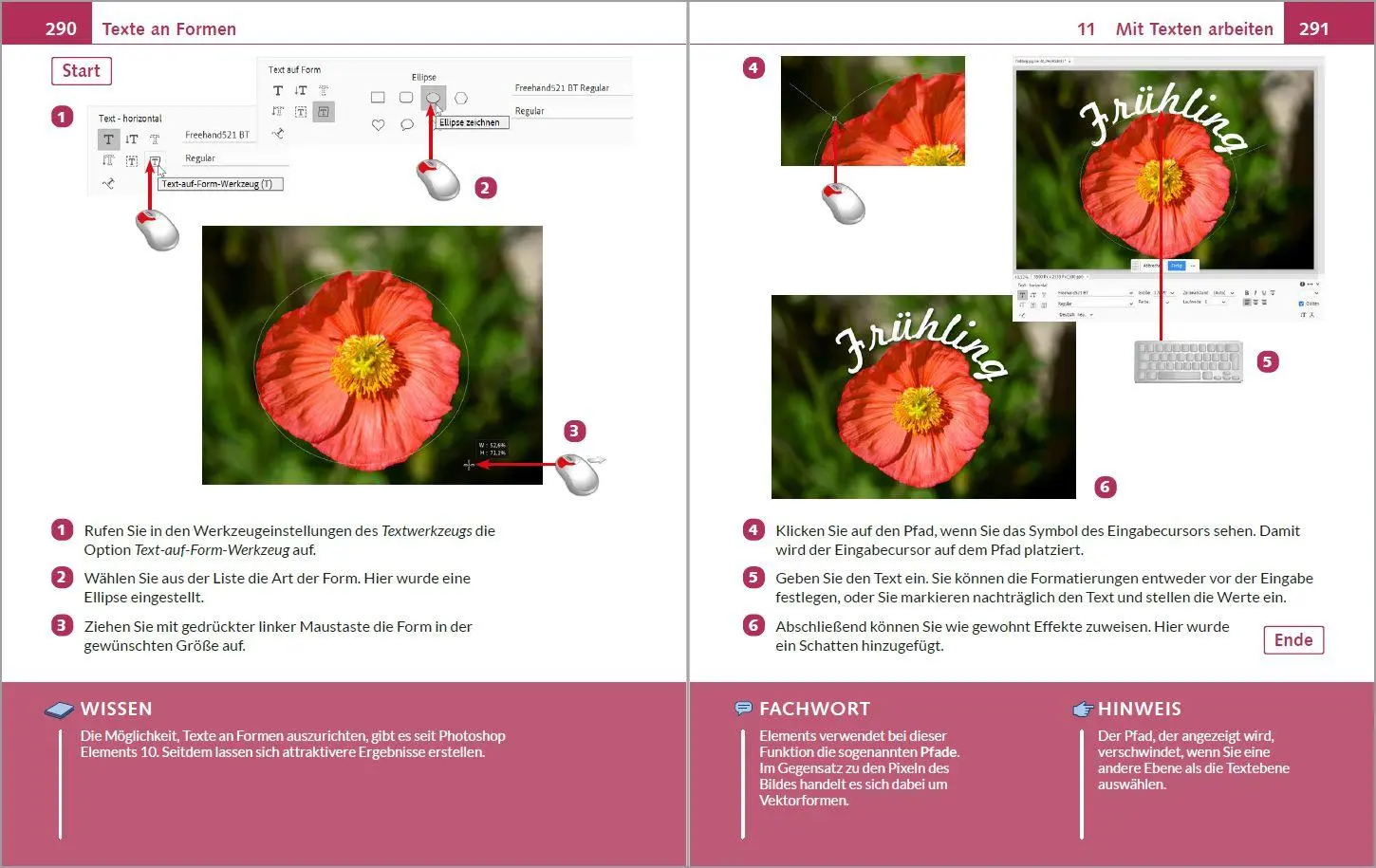 Bild: 9783988100863 | Photoshop Elements 2026 - Bild für Bild erklärt | Michael Gradias