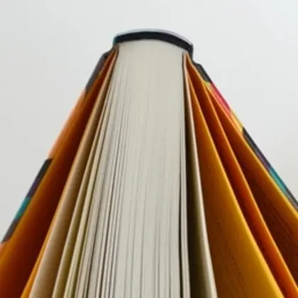 Bild: 9783446250963 | Morgen mehr | Tilman Rammstedt | Buch | 222 S. | Deutsch | 2016
