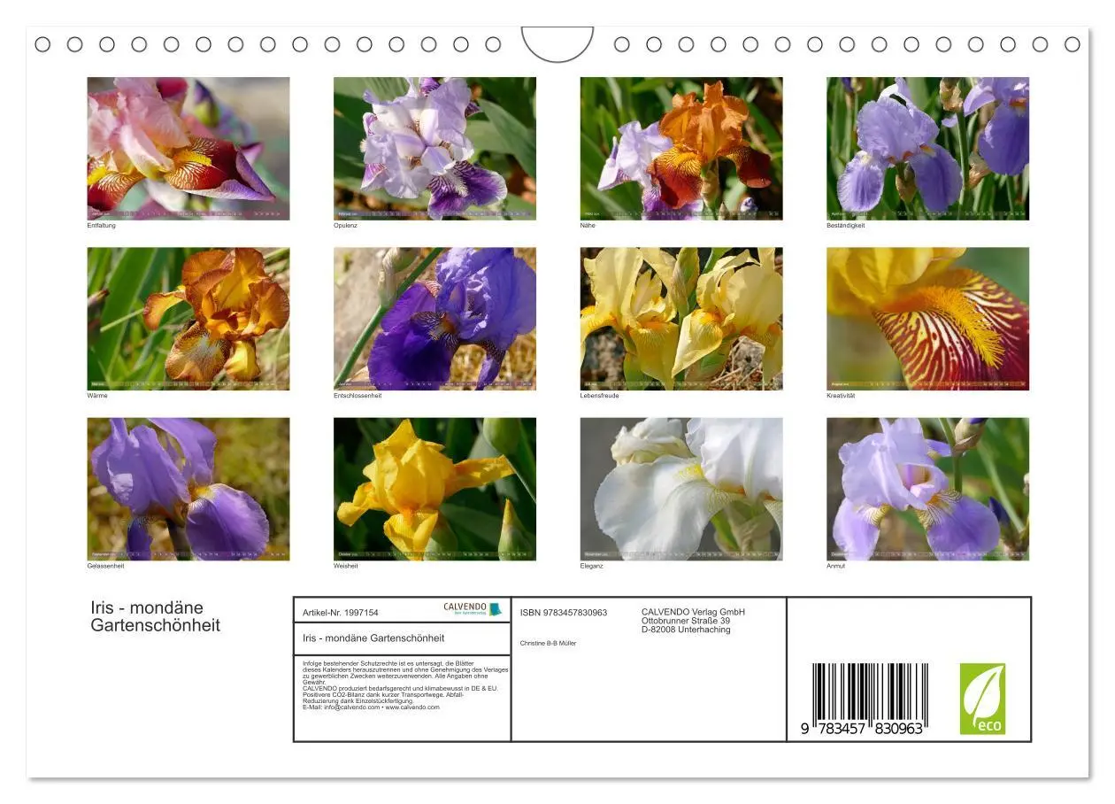 Bild: 9783457830963 | Iris - mondäne Gartenschönheit (Wandkalender 2026 DIN A4 quer),...