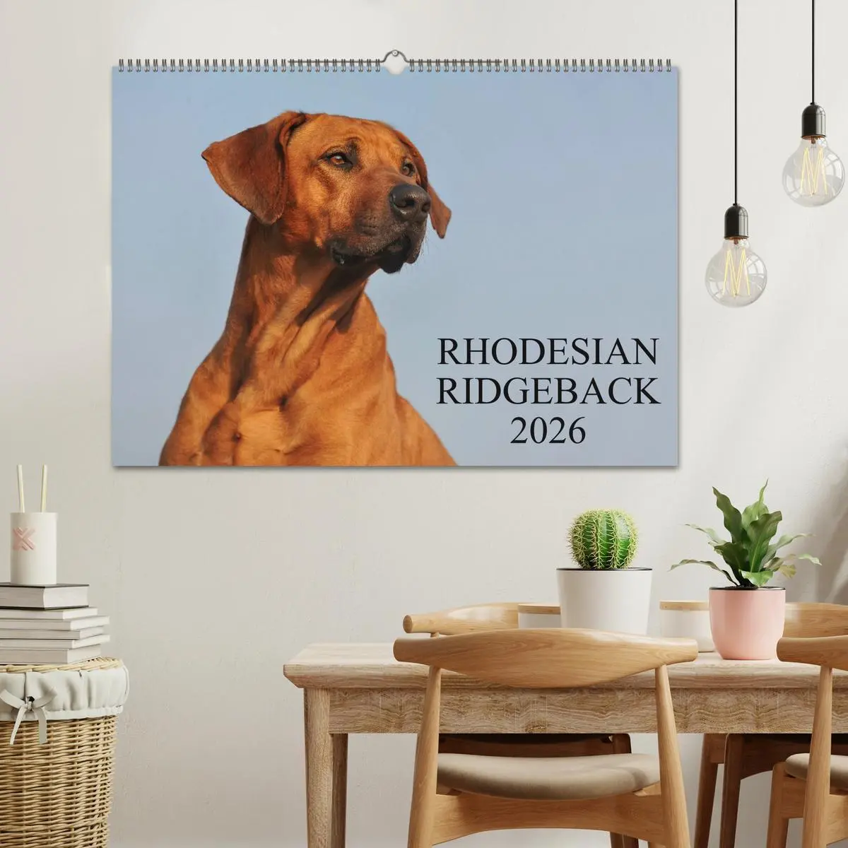 Bild: 9783516160963 | Rhodesian Ridgeback 2026 (Wandkalender 2026 DIN A2 quer), CALVENDO...