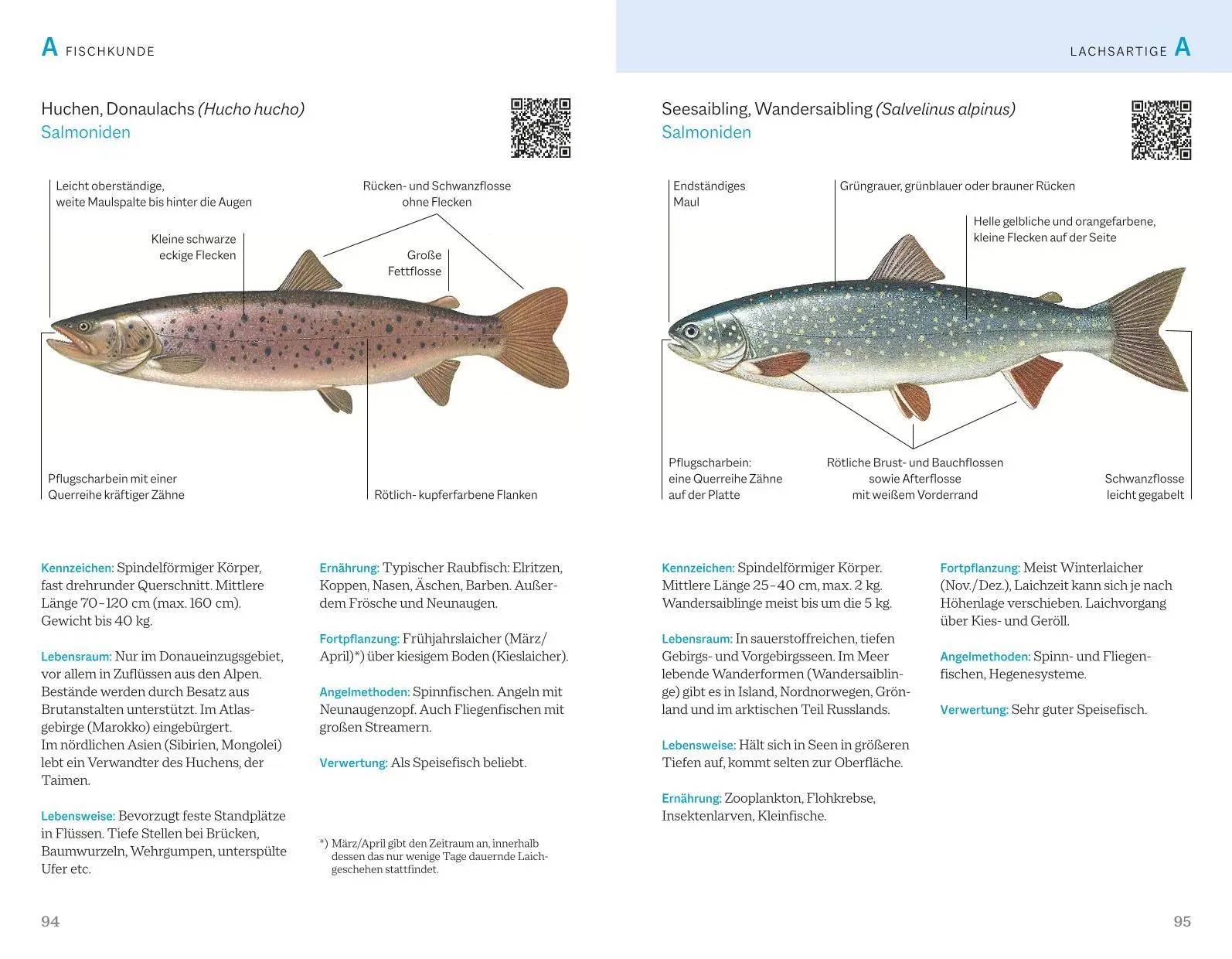 Bild: 9783967470963 | Fischerprüfung | Das Standardwerk | Alexander Kölbing (u. a.) | Buch