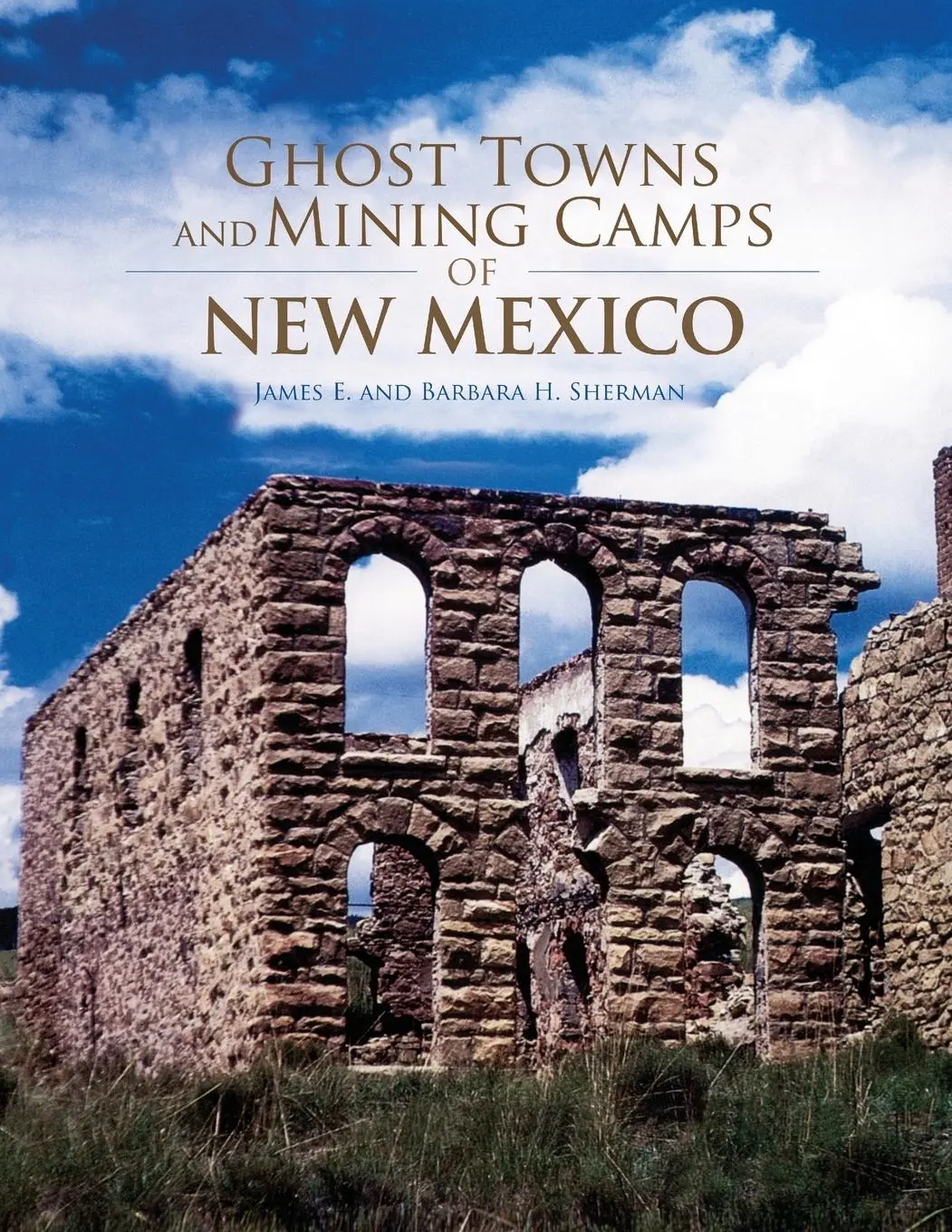 Cover: 9780806111063 | Ghost Towns and Mining Camps of New Mexico | James E. Sherman (u. a.)