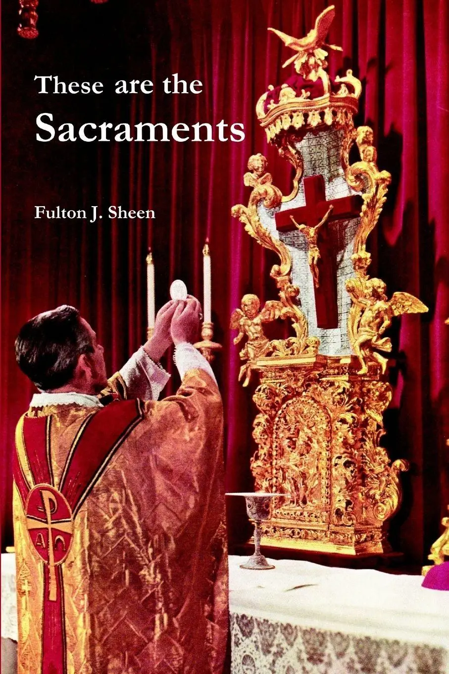 Cover: 9781312381063 | These are the Sacraments | Fulton J. Sheen | Taschenbuch | Englisch