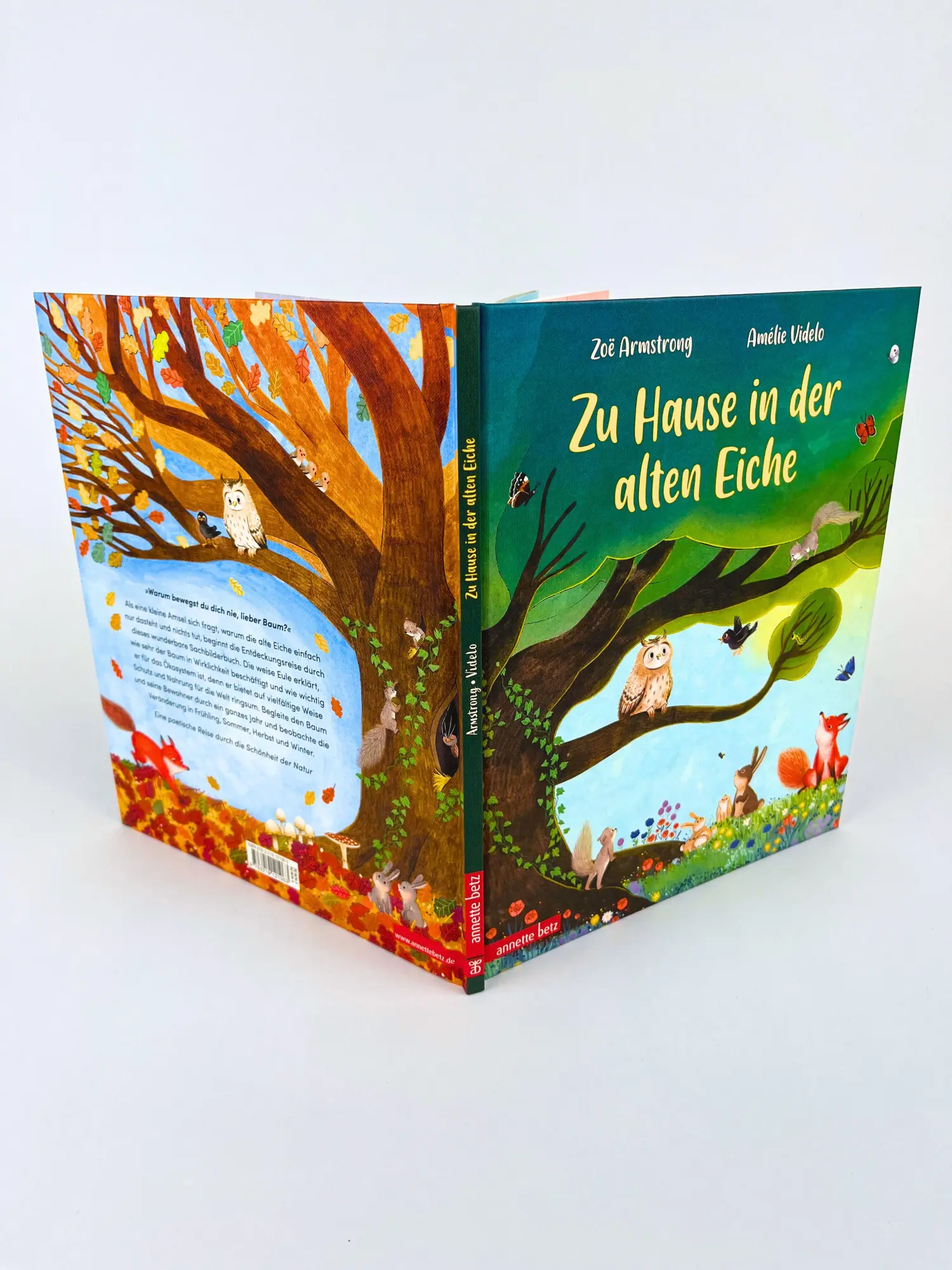 Bild: 9783219121063 | Zu Hause in der alten Eiche | Zoë Armstrong | Buch | 32 S. | Deutsch