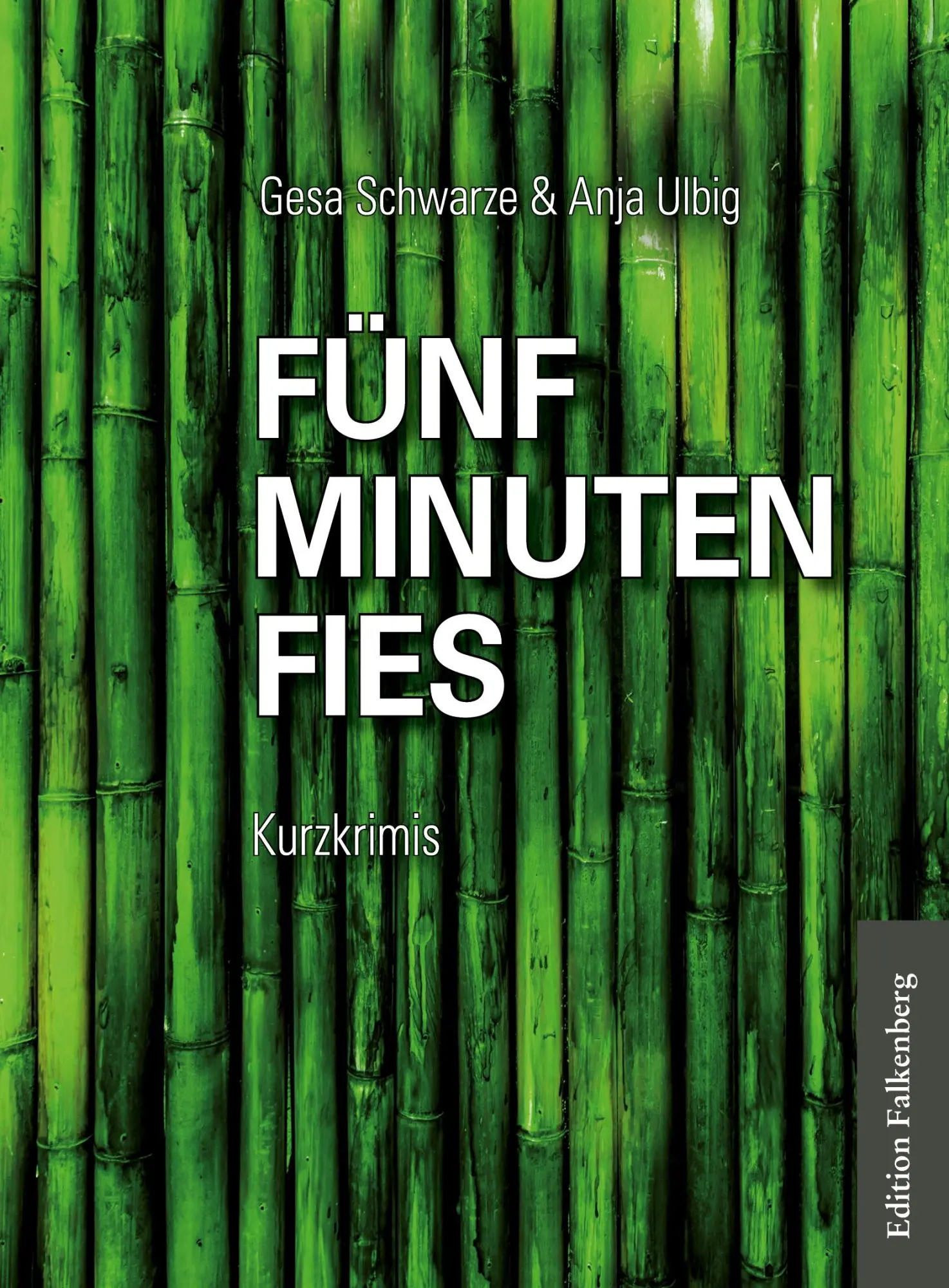 Cover: 9783954941063 | Fünf Minuten fies | Kurzkrimis | Gersa Schwarze (u. a.) | Taschenbuch
