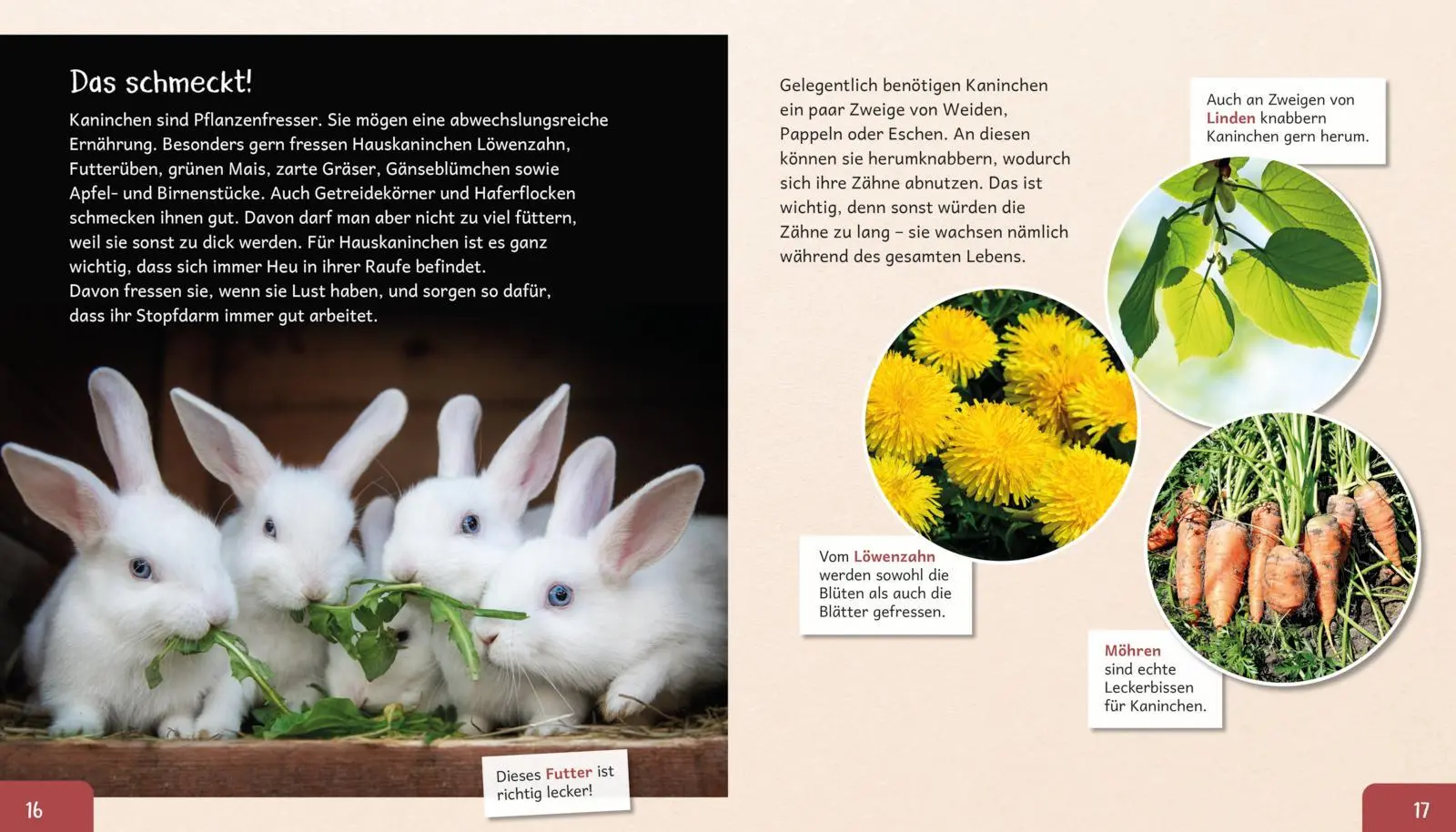 Bild: 9783480241163 | Meine große Tierbibliothek: Das Kaninchen | Axel Gutjahr | Buch | 2026