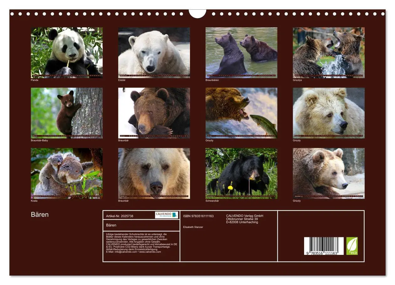 Bild: 9783516111163 | Bären (Wandkalender 2026 DIN A3 quer), CALVENDO Monatskalender | 2026