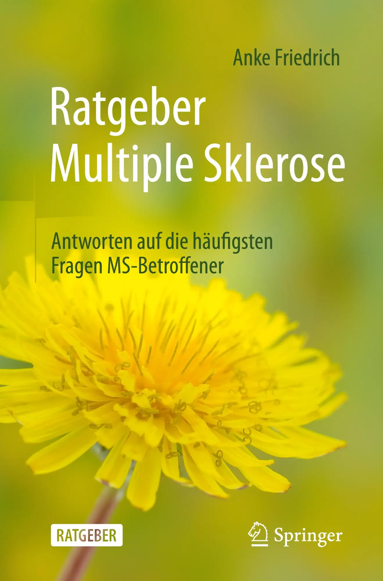 Cover: 9783662711163 | Ratgeber Multiple Sklerose | Anke Friedrich | Taschenbuch | xxii