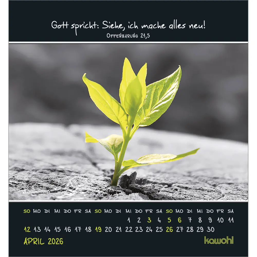Bild: 9783754881163 | Freu dich an kleinen Wundern 2026 | Kalender | Spiralbindung | Deutsch