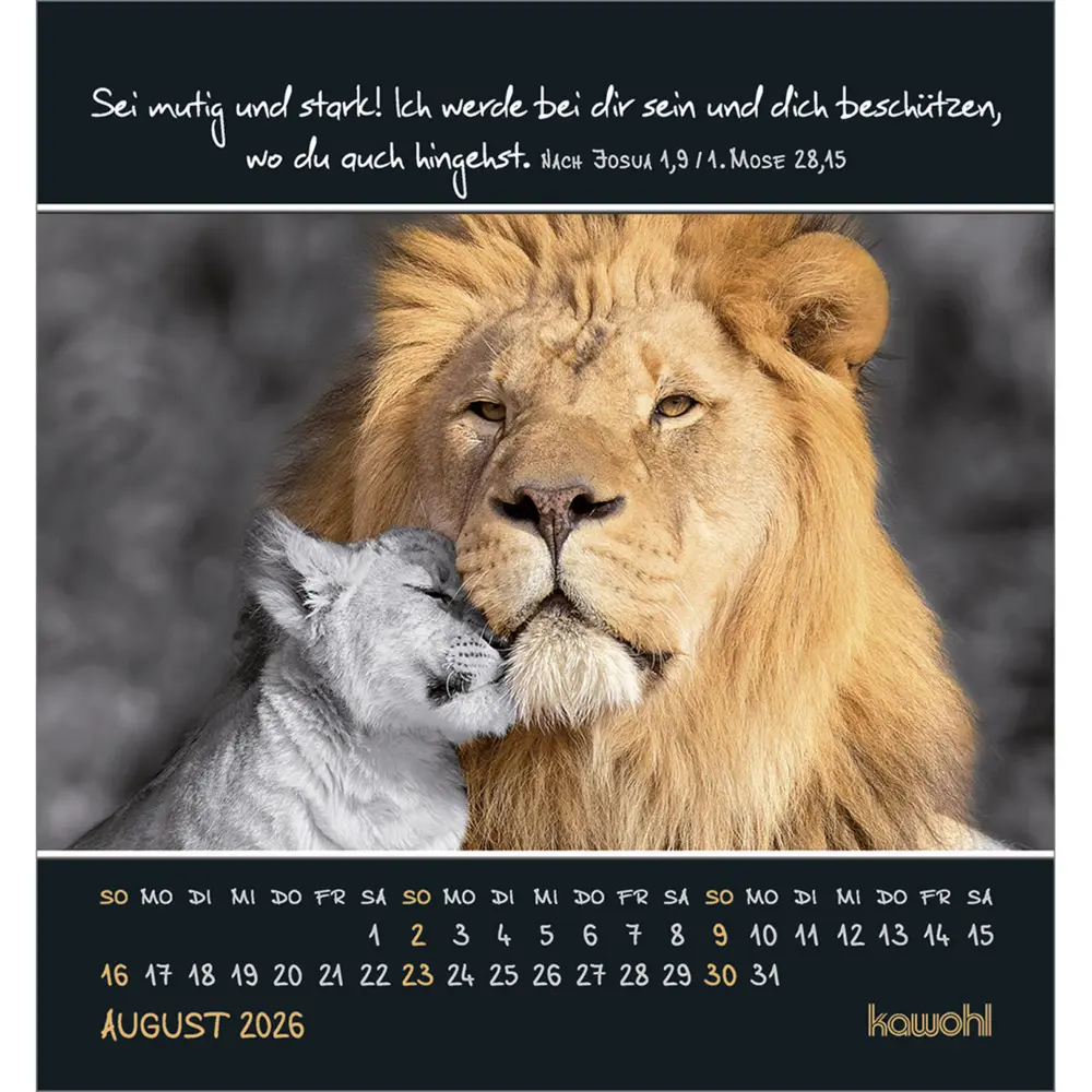 Bild: 9783754881163 | Freu dich an kleinen Wundern 2026 | Kalender | Spiralbindung | Deutsch