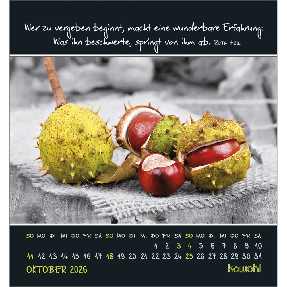 Bild: 9783754881163 | Freu dich an kleinen Wundern 2026 | Kalender | Spiralbindung | Deutsch