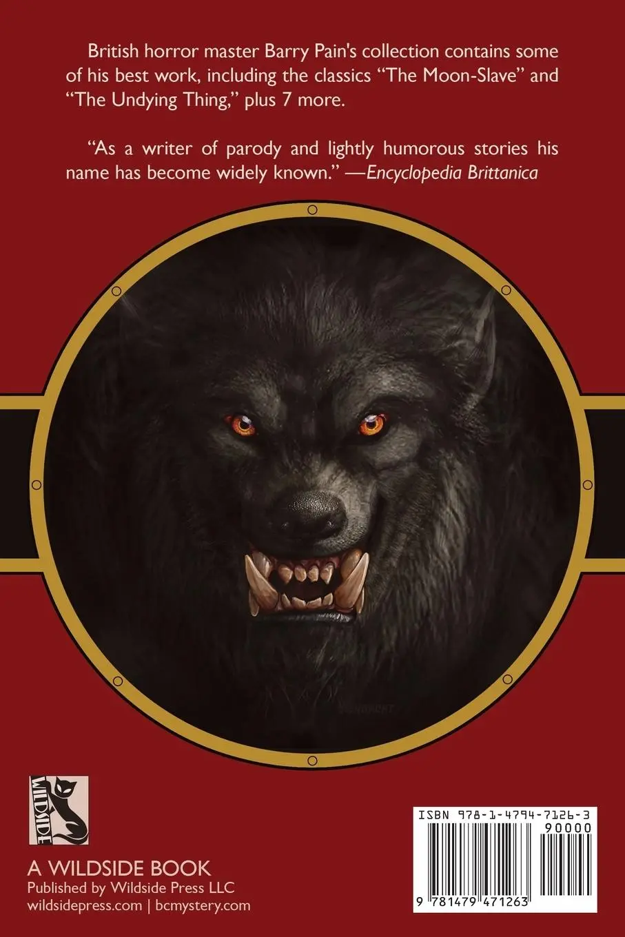 Rückseite: 9781479471263 | Stories in the Dark | Barry Pain | Taschenbuch | Englisch | 2022