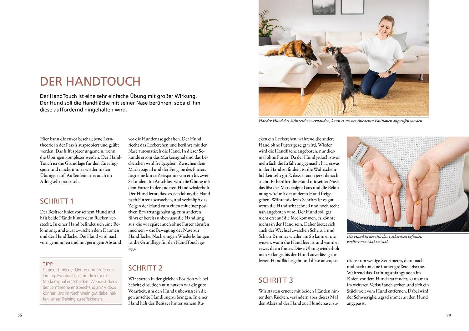 Bild: 9783440181263 | Curving | Dana Thimel | Buch | 216 S. | Deutsch | 2025