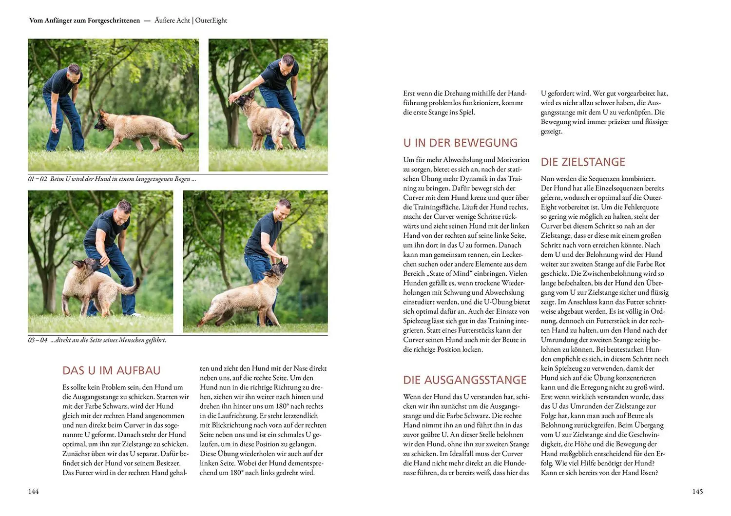 Bild: 9783440181263 | Curving | Dana Thimel | Buch | 216 S. | Deutsch | 2025