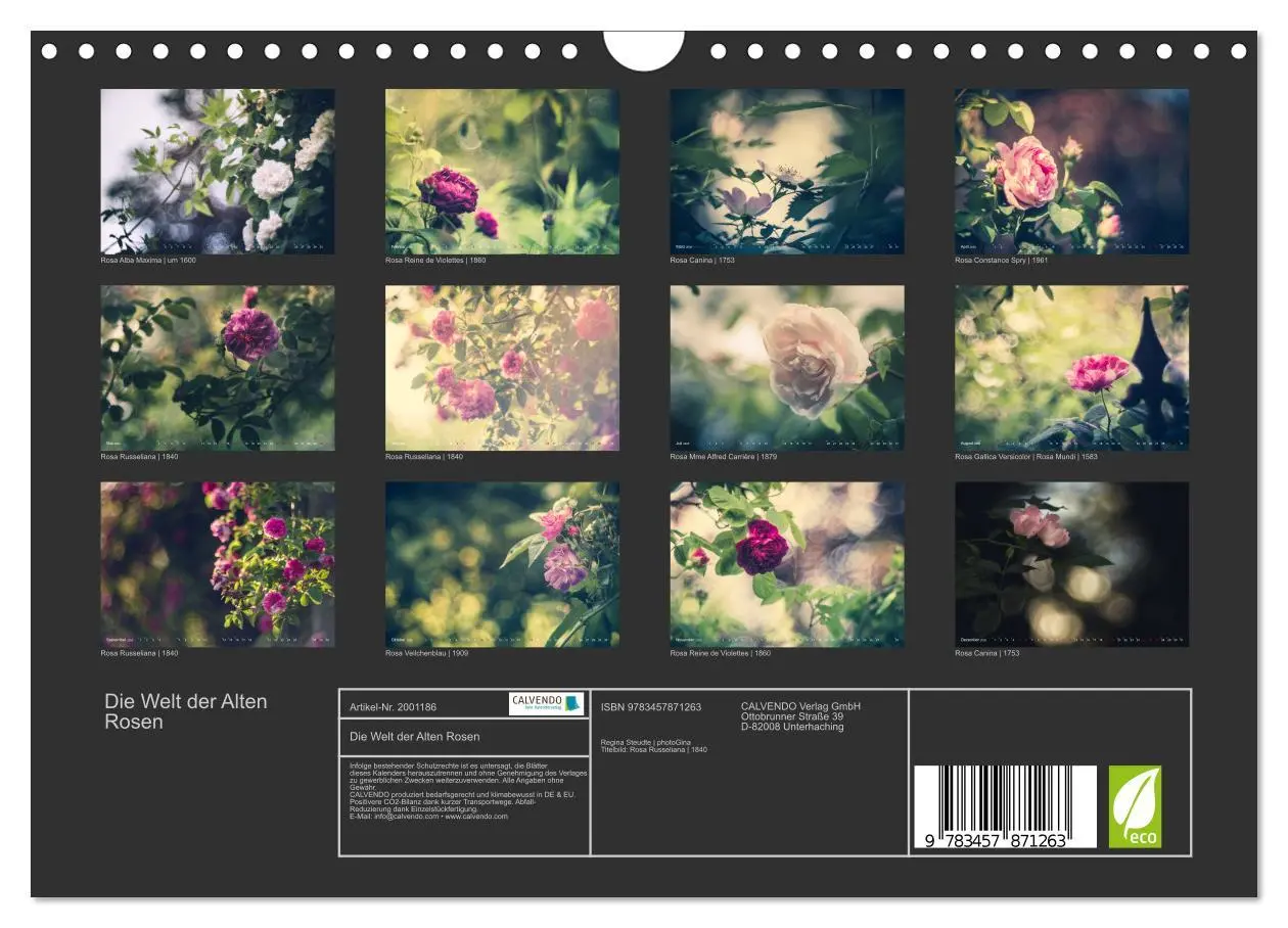 Bild: 9783457871263 | Die Welt der Alten Rosen (Wandkalender 2026 DIN A4 quer), CALVENDO...