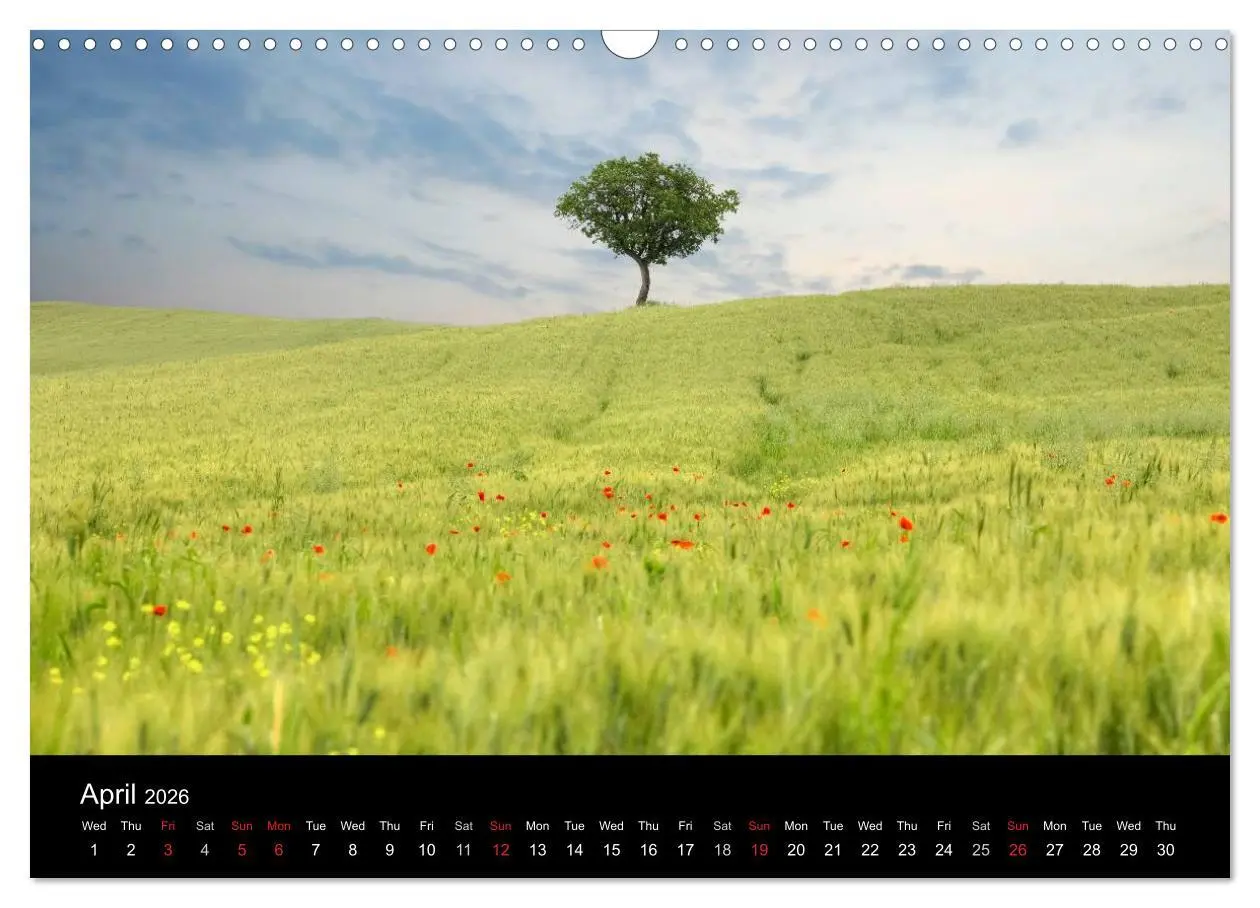 Bild: 9783516581263 | Tuscany (Wall Calendar 2026 DIN A3 landscape), CALVENDO 12 Month...