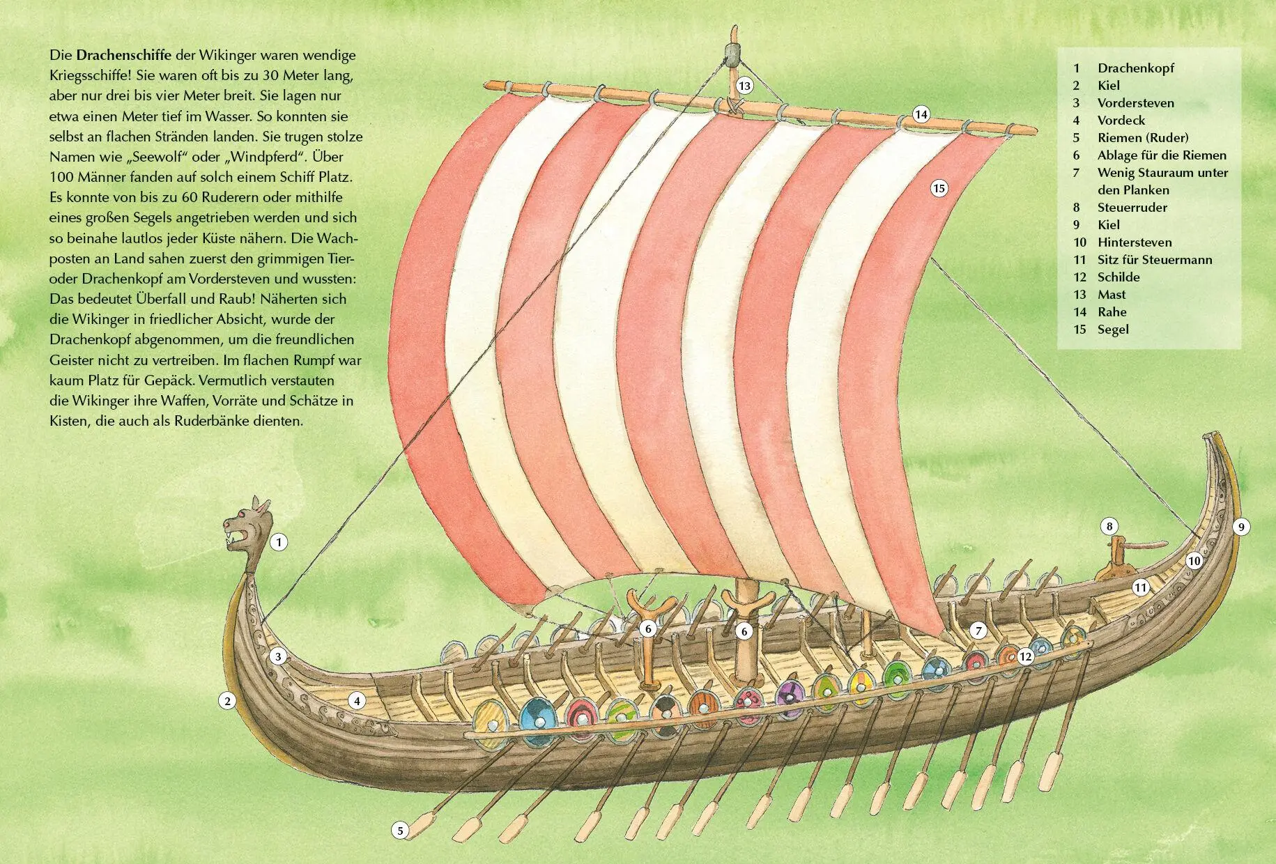 Bild: 9783570181263 | Der kleine Drache Kokosnuss - Abenteuer &amp; Wissen - Die Wikinger | Buch