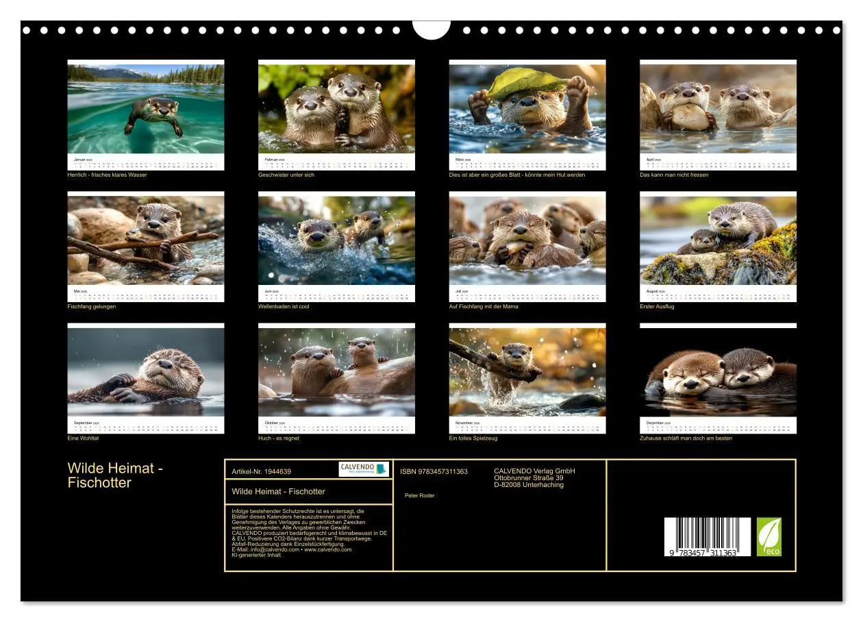 Bild: 9783457311363 | Wilde Heimat - Fischotter (Wandkalender 2026 DIN A3 quer), CALVENDO...