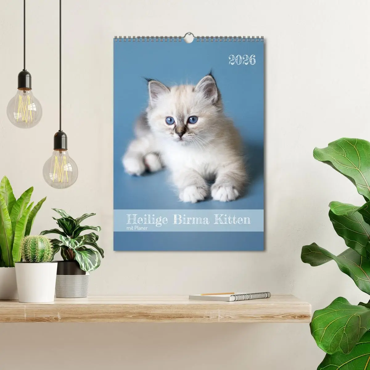 Bild: 9783516641363 | Heilige Birma Kitten Kalender mit Planer (Wandkalender 2026 DIN A3...