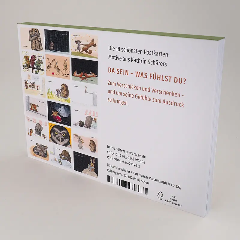 Autor: 9783446271463 | Da sein - Was fühlst du? Postkarten-Set | Kathrin Schärer | Box | 2021