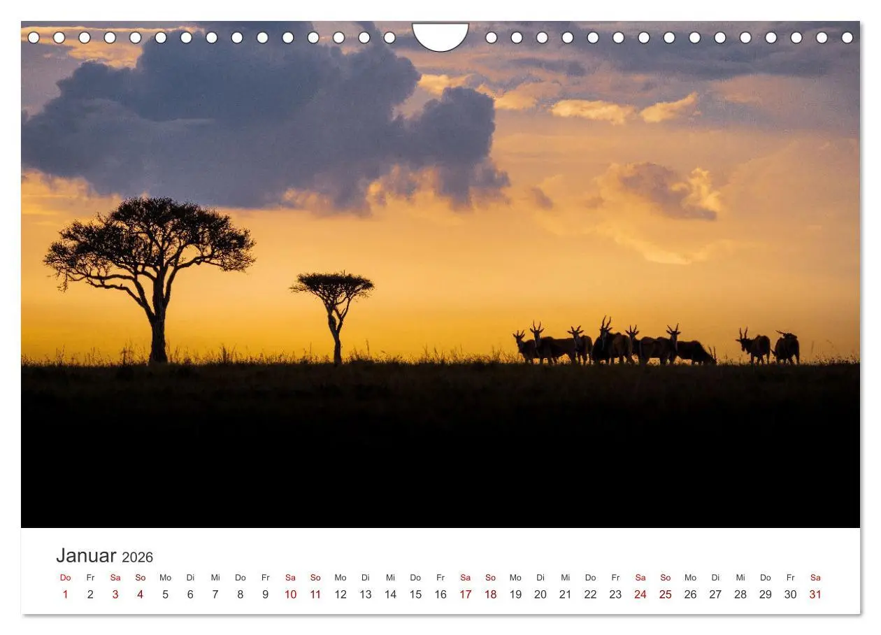 Bild: 9783457611463 | Kenia - Eine Safari durch unberührte Natur. (Wandkalender 2026 DIN...