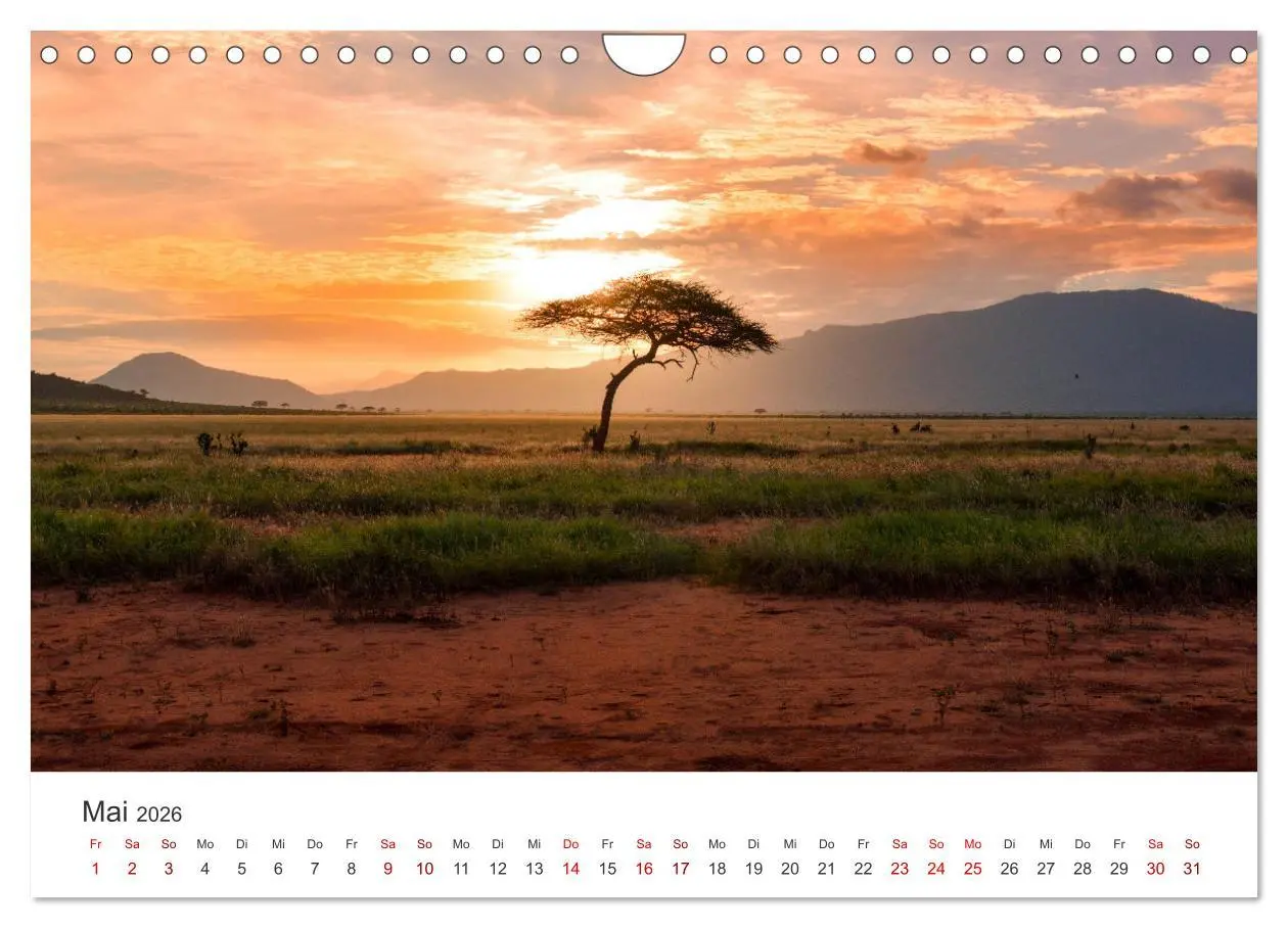 Bild: 9783457611463 | Kenia - Eine Safari durch unberührte Natur. (Wandkalender 2026 DIN...
