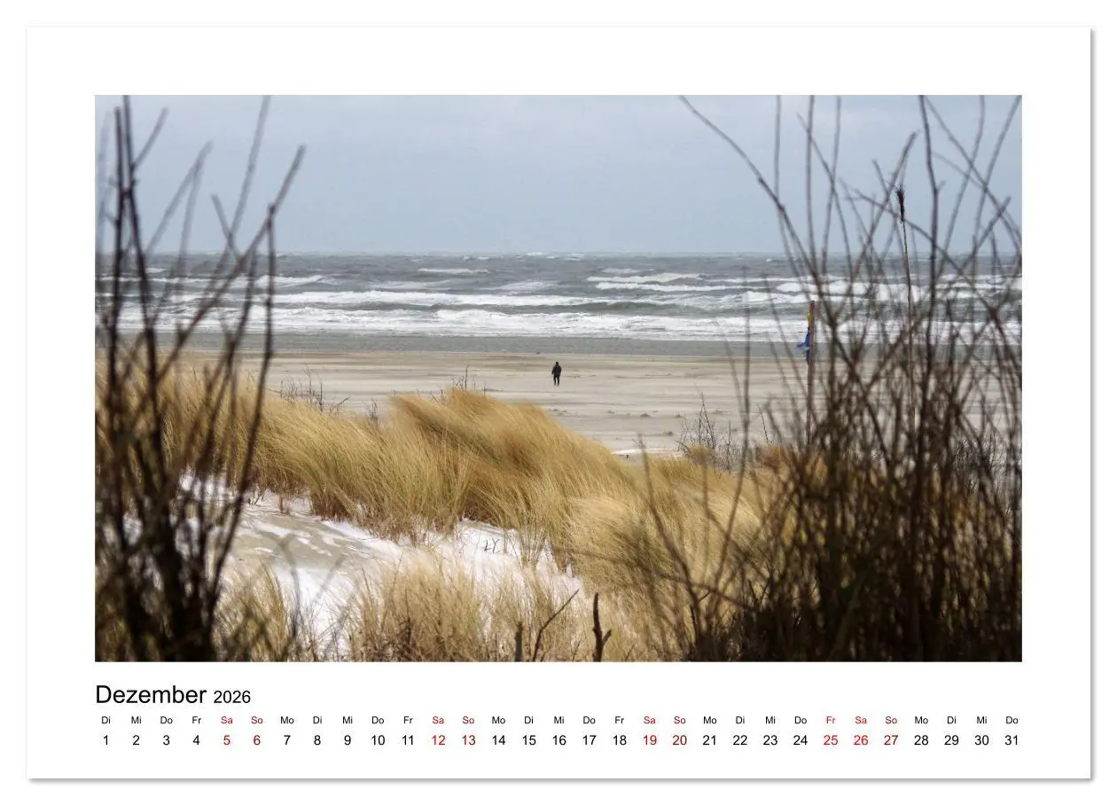 Bild: 9783516631463 | Juist Strandmomente (Wandkalender 2026 DIN A4 quer), CALVENDO...