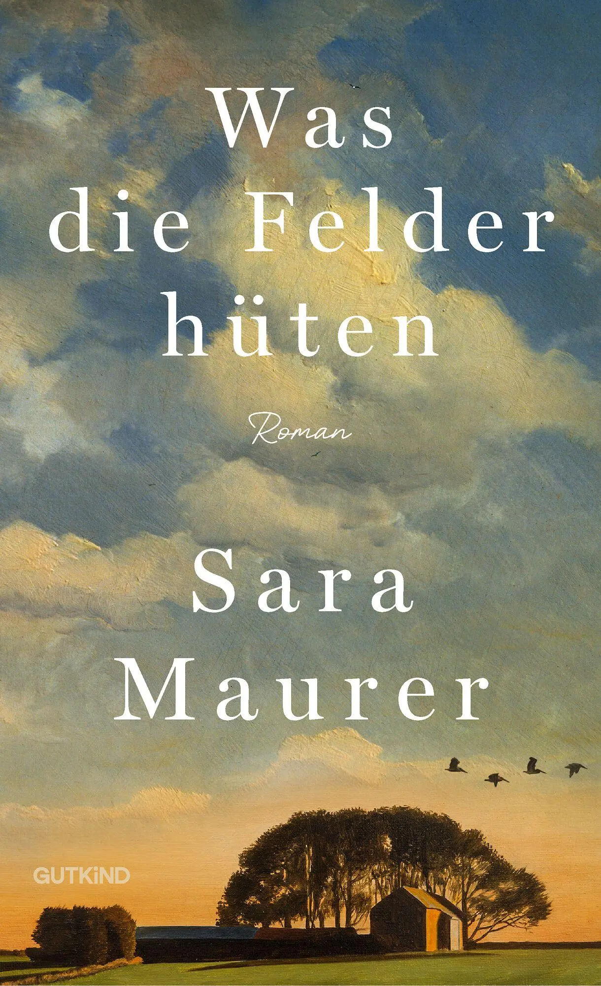 Cover: 9783989411463 | Was die Felder hüten | Sara Maurer | Buch | 368 S. | Deutsch | 2026