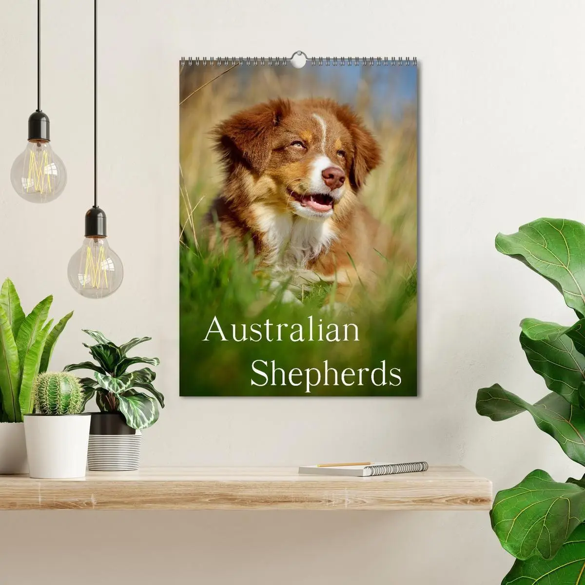 Bild: 9783594151563 | Australian Shepherds (Wandkalender 2027 DIN A3 hoch), CALVENDO...