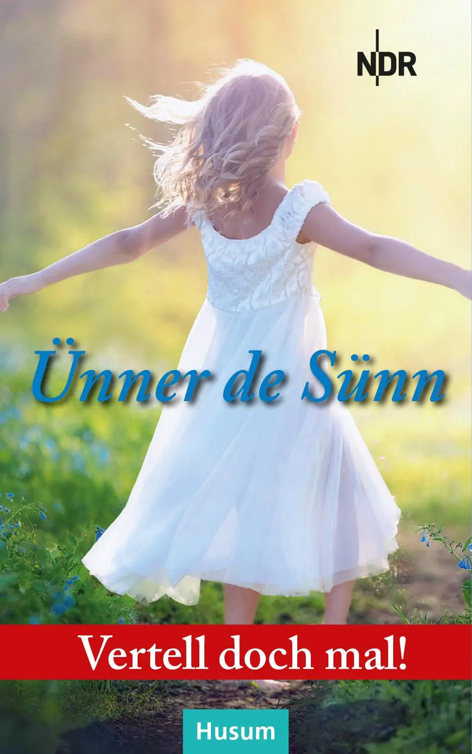 Cover: 9783967171563 | Vertell doch mal: Ünner de Sünn | 26 plattdeutsche Geschichten | Buch