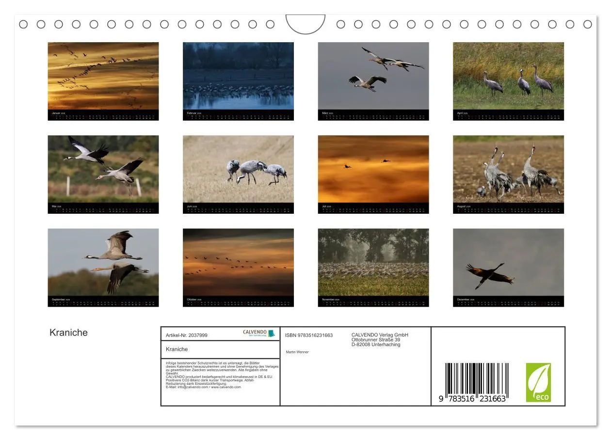 Bild: 9783516231663 | Kraniche (Wandkalender 2026 DIN A4 quer), CALVENDO Monatskalender