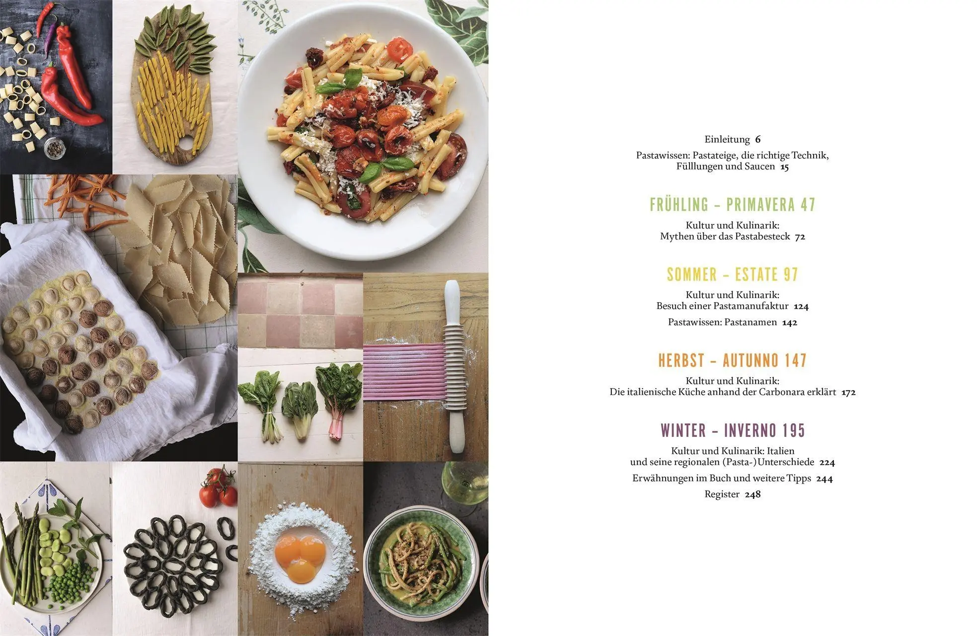 Bild: 9783831051663 | Pasta &amp; Verdura | Cettina Vicenzino | Buch | 256 S. | Deutsch | 2026