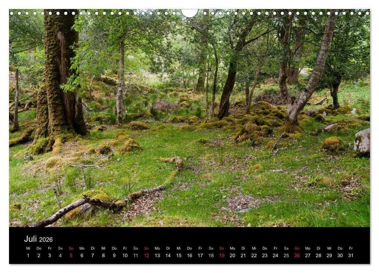 Bild: 9783516151763 | Unterwegs in Irland (Wandkalender 2026 DIN A3 quer), CALVENDO...