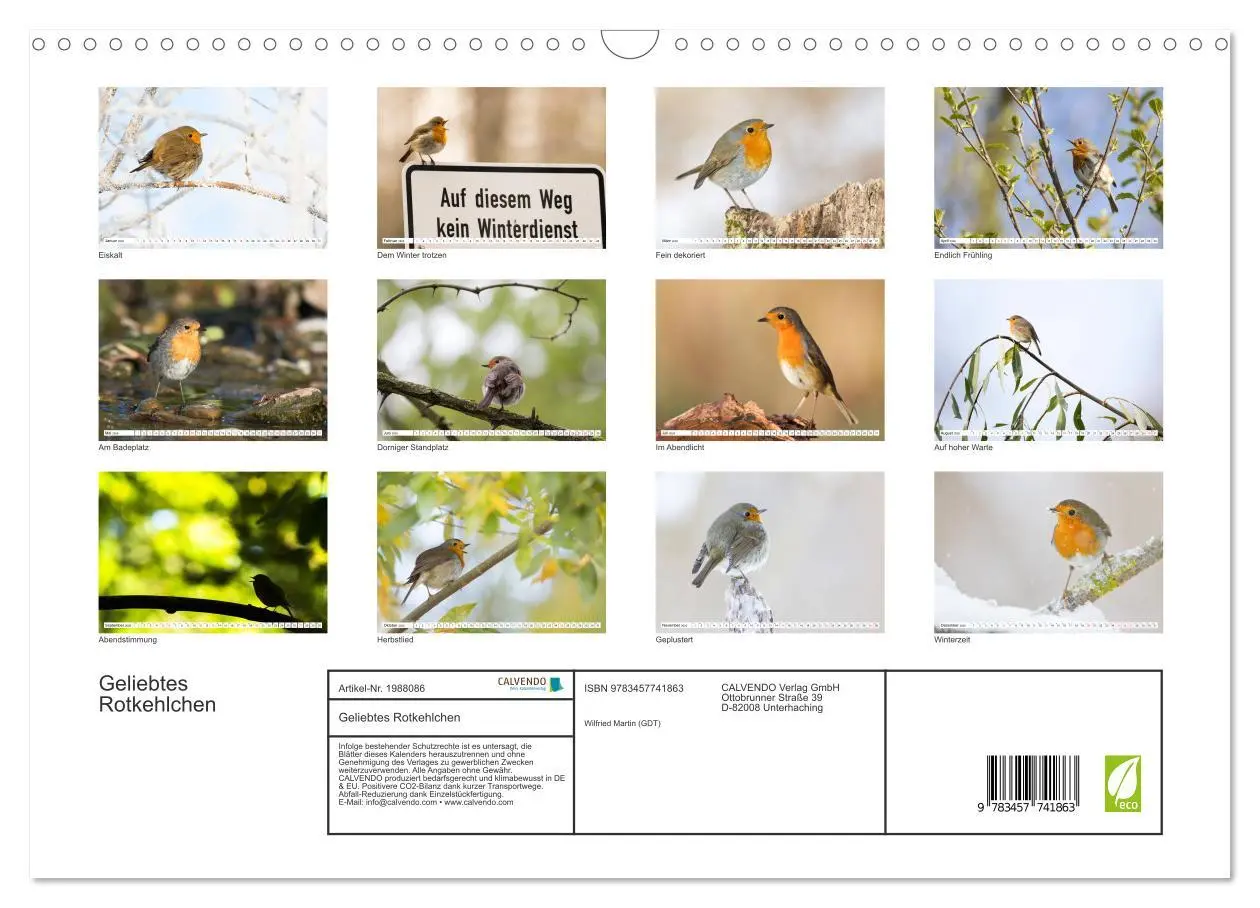 Bild: 9783457741863 | Geliebtes Rotkehlchen (Wandkalender 2026 DIN A3 quer), CALVENDO...