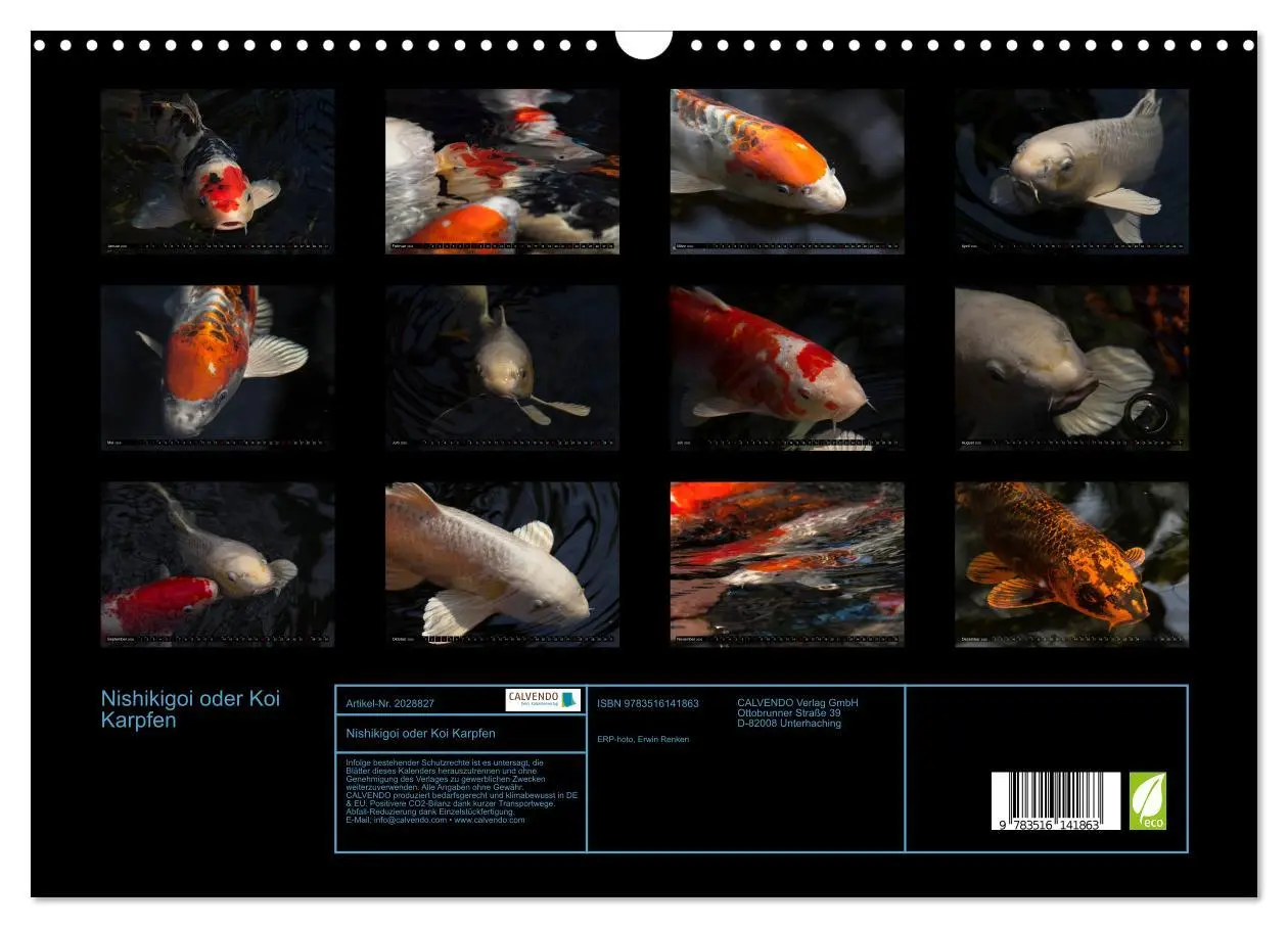 Bild: 9783516141863 | Nishikigoi oder Koi Karpfen (Wandkalender 2026 DIN A3 quer),...