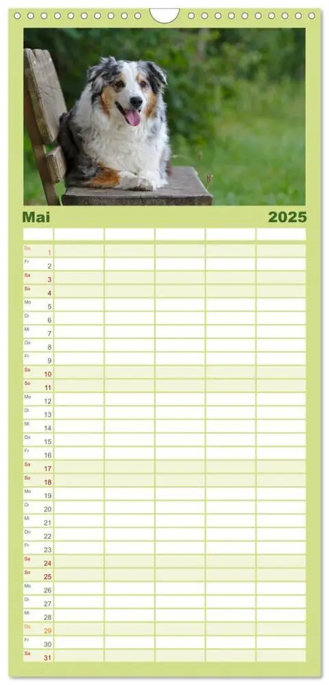 Bild: 9783457111963 | Familienplaner 2025 - Australian Shepherd - Augenblicke mit 5...
