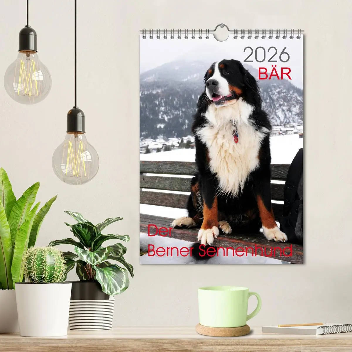 Bild: 9783516441963 | BÄR - Der Berner Sennenhund (Wandkalender 2026 DIN A4 hoch),...