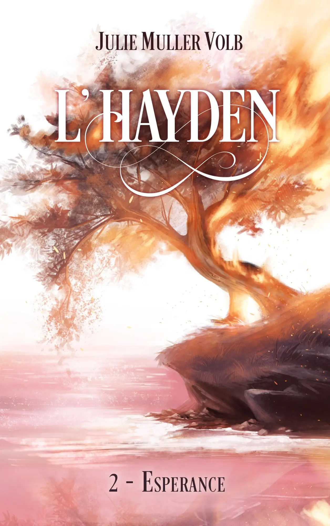 Cover: 9782322222063 | L'Hayden - 2 | Esperance | Julie Muller Volb | Taschenbuch | 446 S.