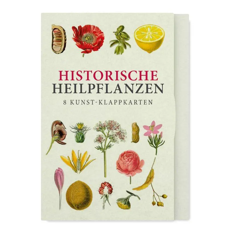 Cover: 9783968492063 | Historische Heilpflanzen - Acht Kunst-Klappkarten | Taschenbuch | 8 S.