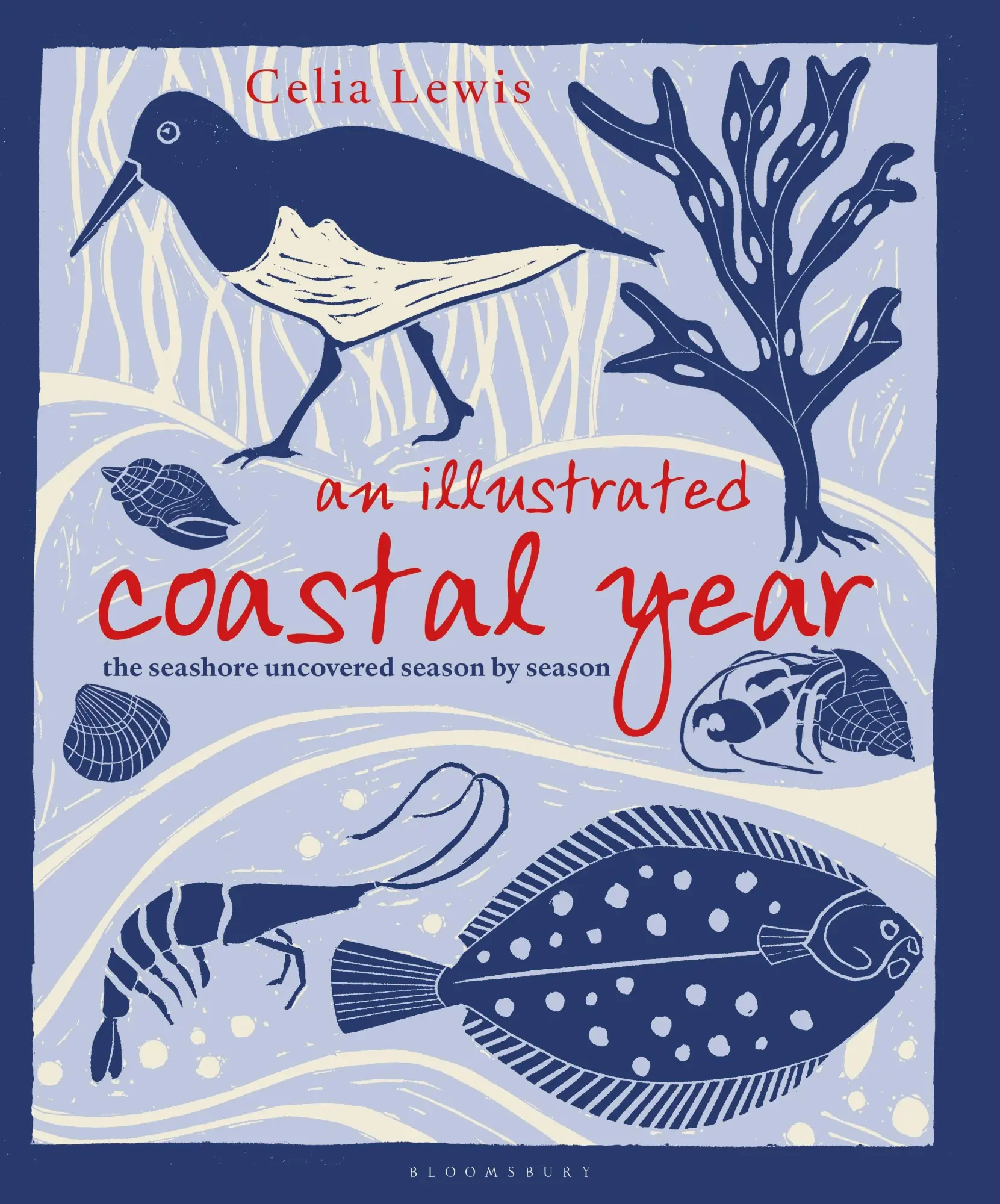 Cover: 9781399402163 | An Illustrated Coastal Year | The seashore uncovered season by season