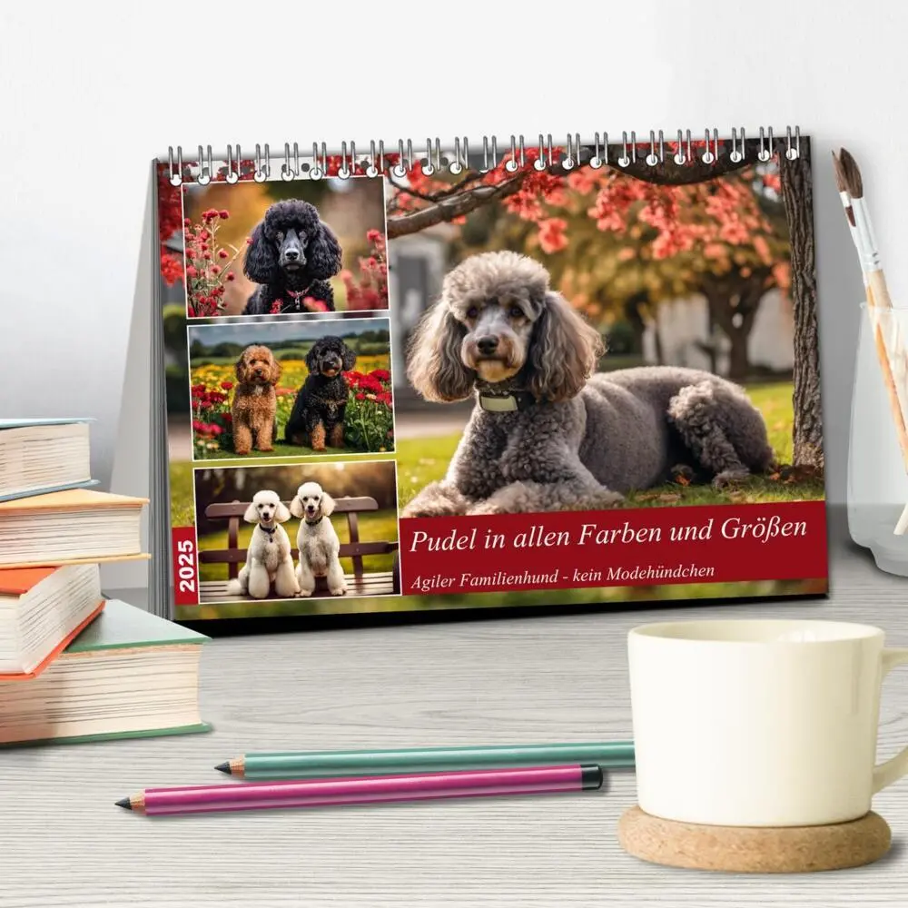 Bild: 9783435832163 | Pudel in allen Farben und Größen (Tischkalender 2025 DIN A5 quer),...