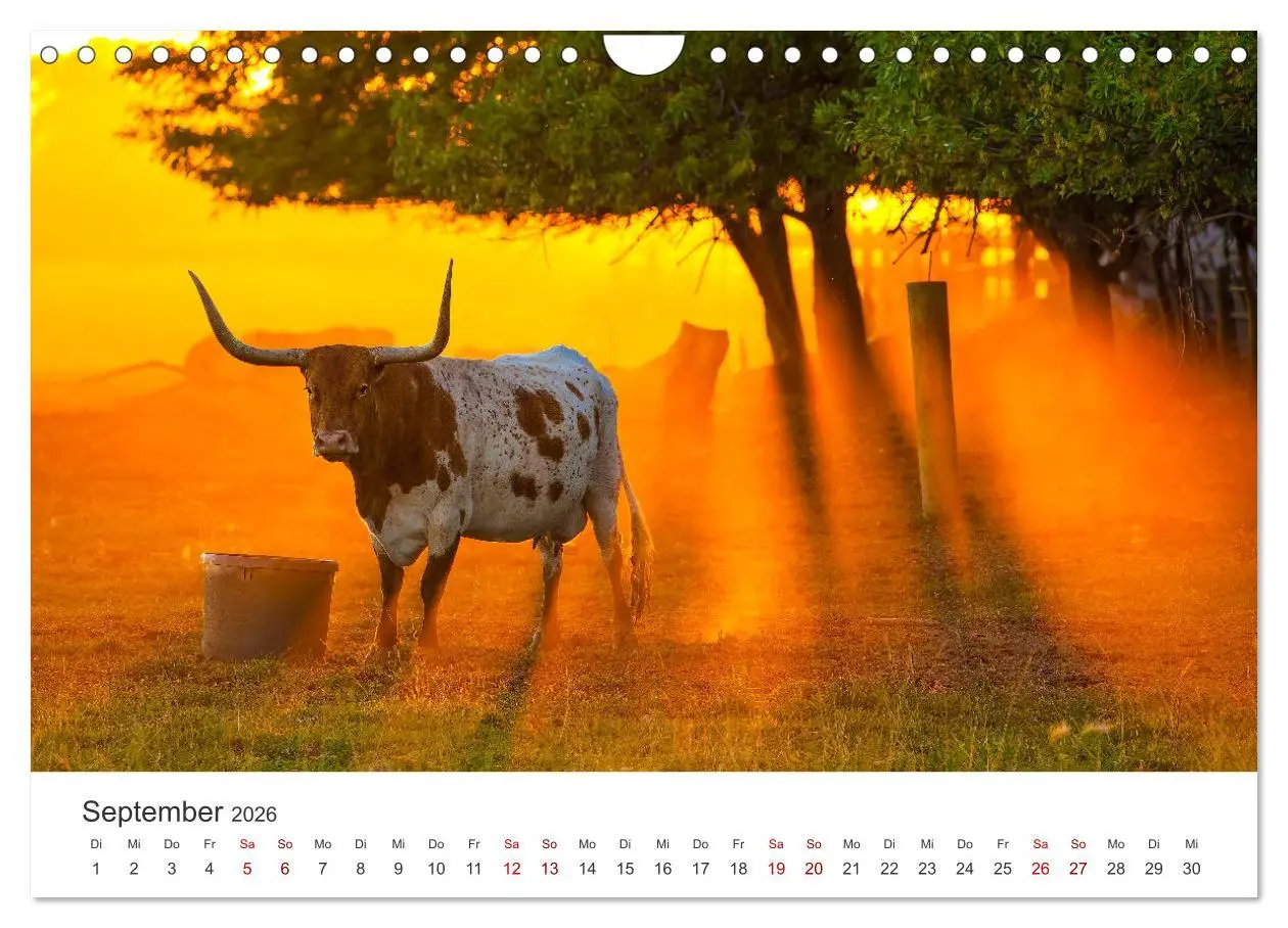 Bild: 9783457542163 | Texas - Howdy aus dem Lone Star State! (Wandkalender 2026 DIN A4...