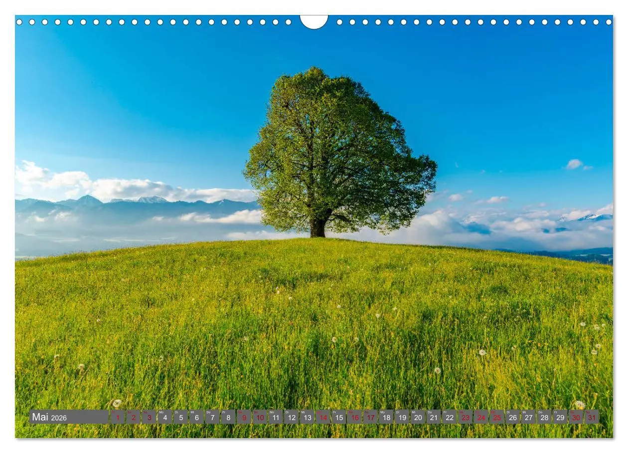Bild: 9783457852163 | Faszination Oberallgäu (Wandkalender 2026 DIN A3 quer), CALVENDO...