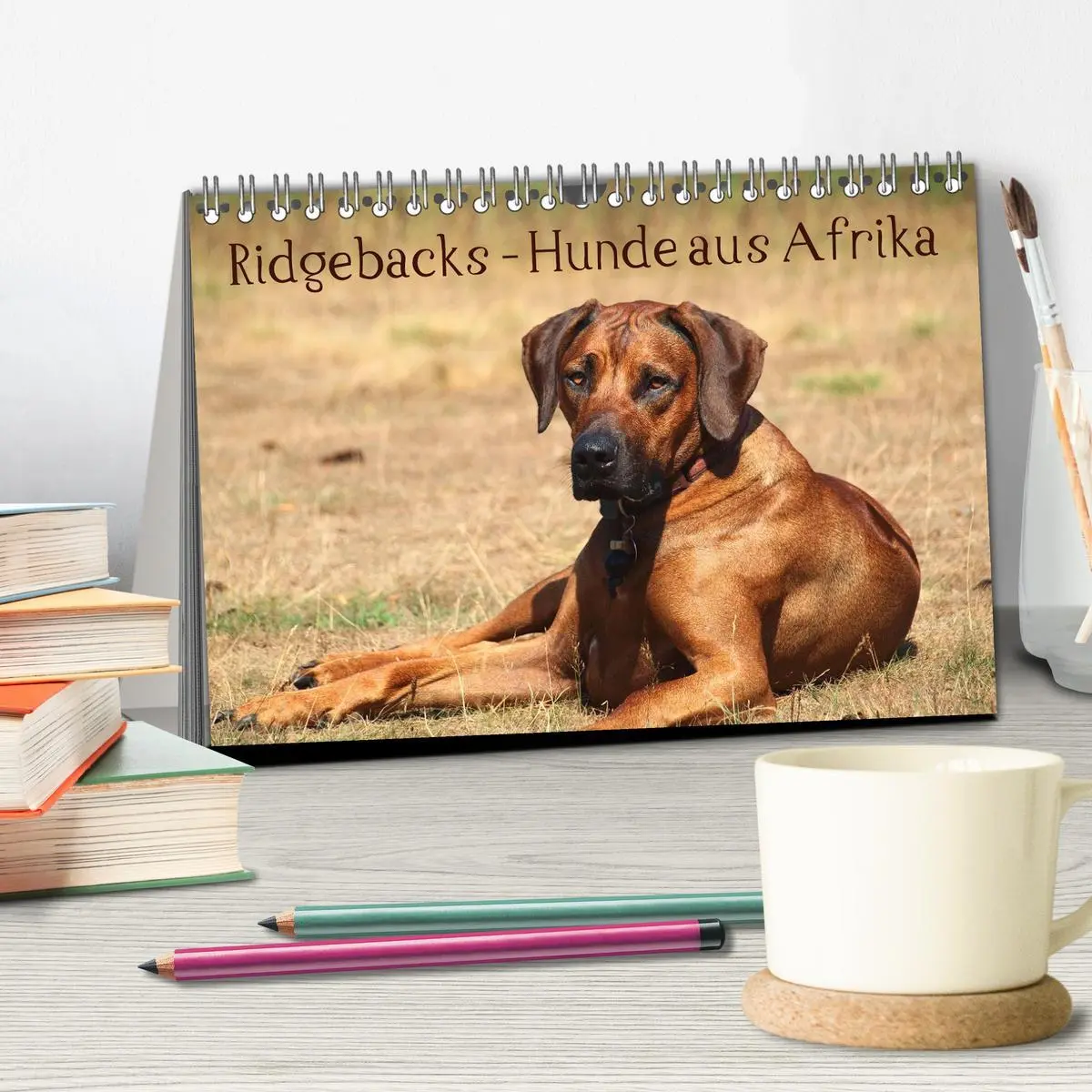 Bild: 9783516012163 | Ridgebacks - Hunde aus Afrika (Tischkalender 2026 DIN A5 quer),...