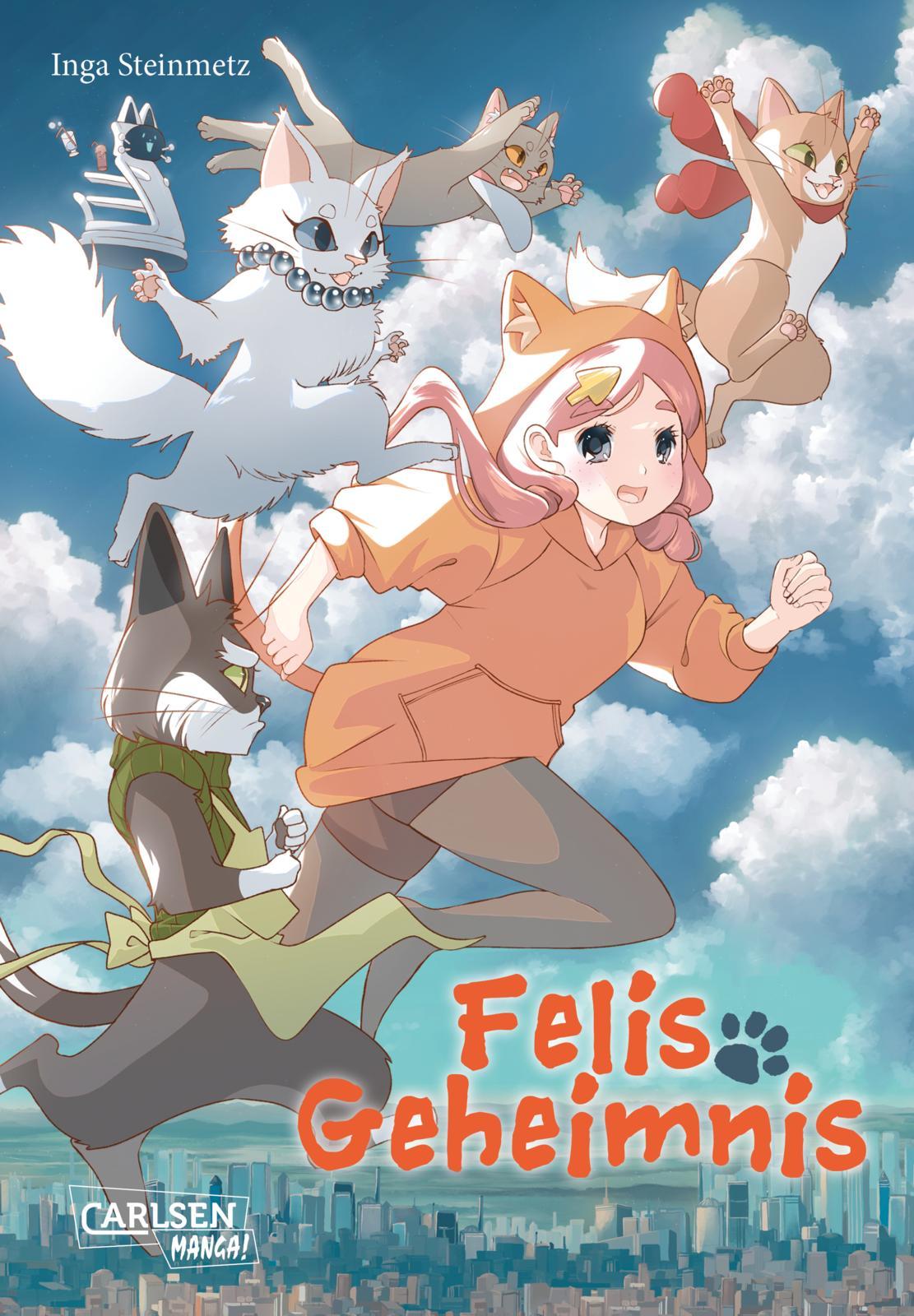 Cover: 9783551802163 | Felis Geheimnis | Inga Steinmetz | Taschenbuch | 144 S. | Deutsch